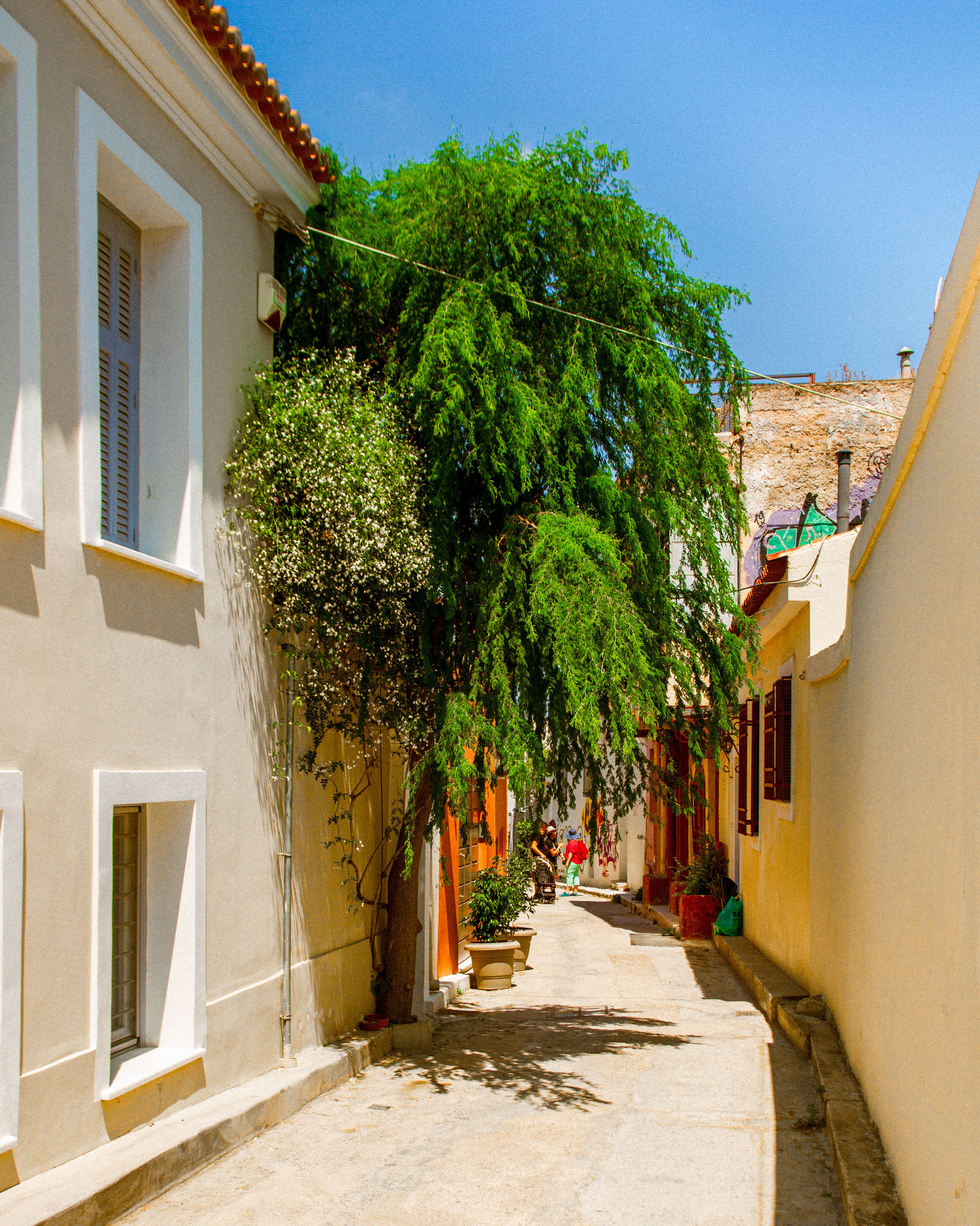 Picturesque narrow street with trees and colorful facades under a bright summer sky.