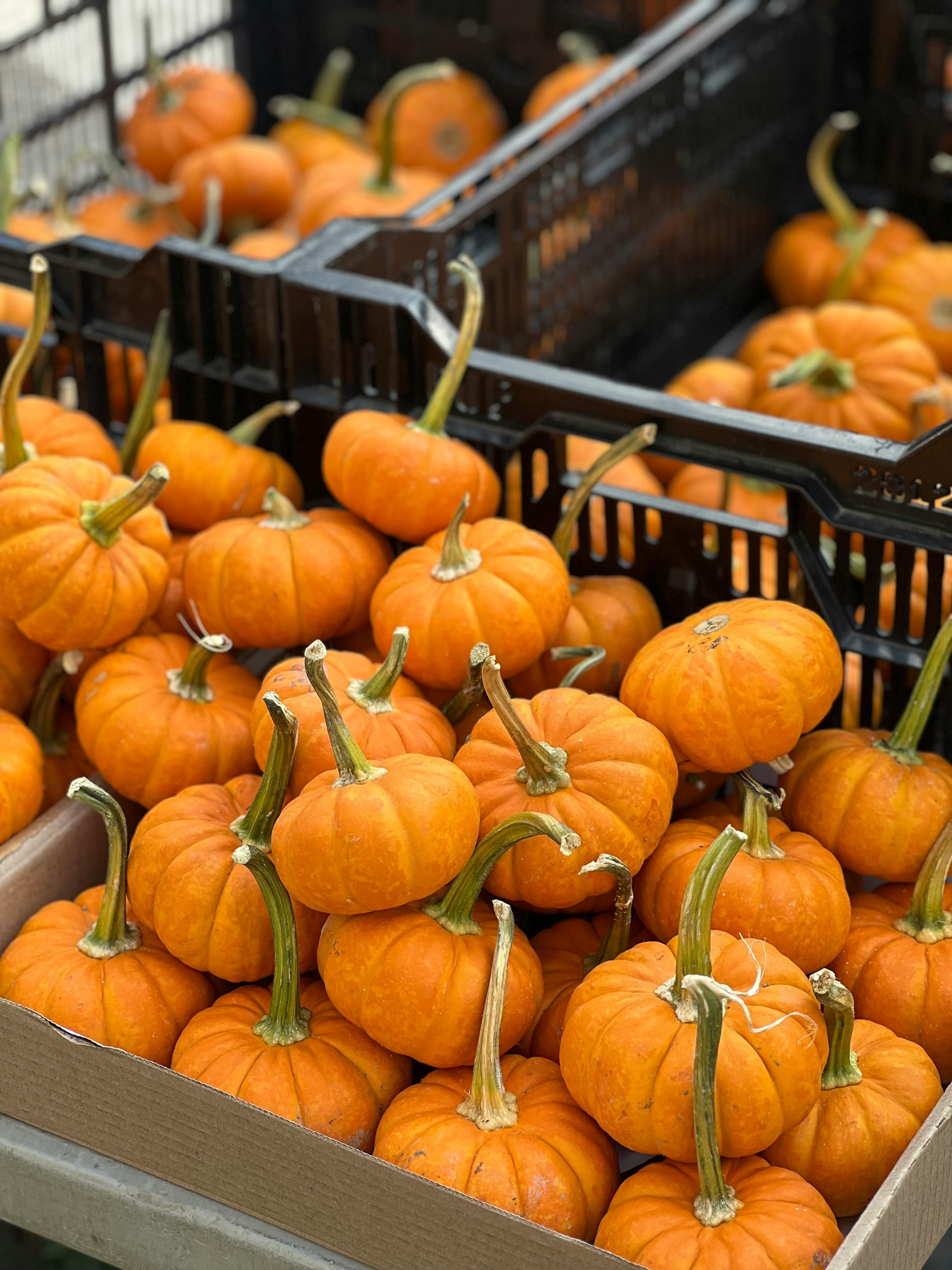 11. Farmer's Markets: A Celebration of Local Produce