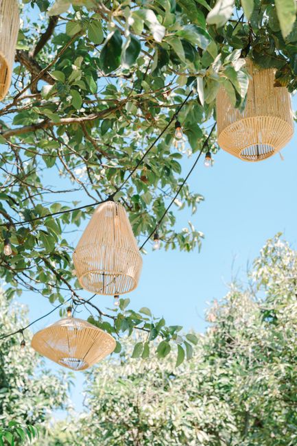 Sunny outdoor view of wicker lanterns hanging among lush tropical foliage.
