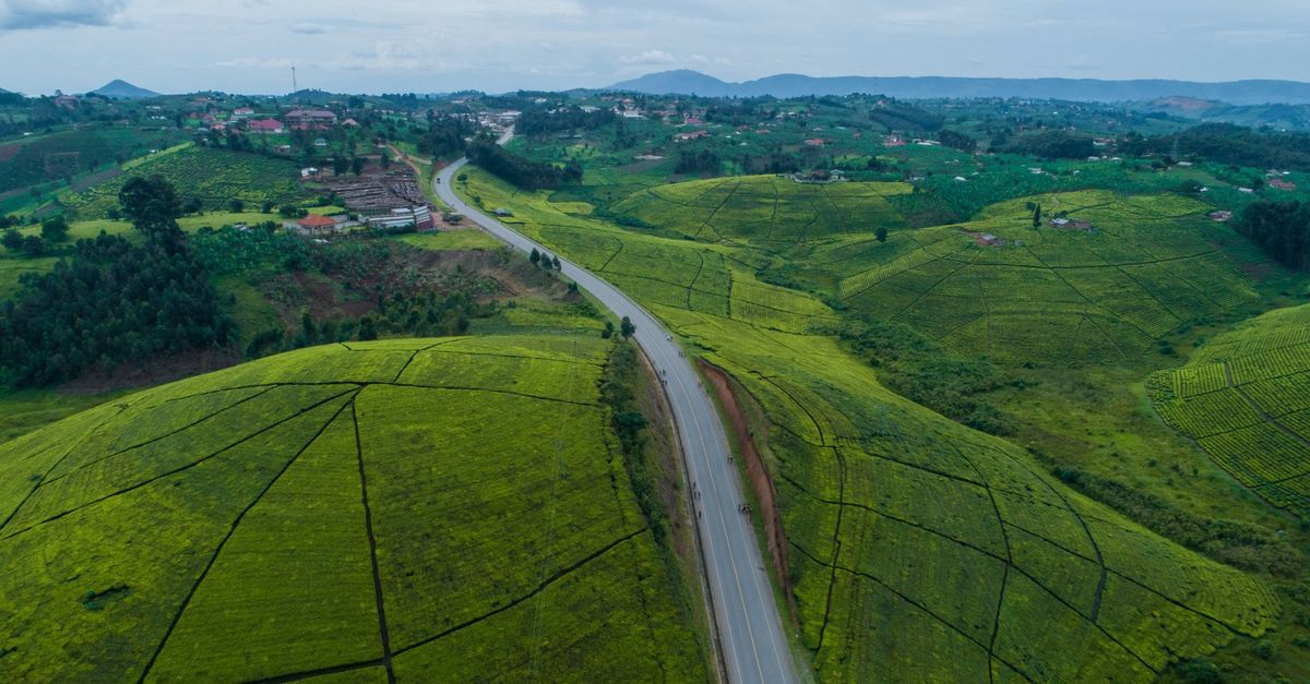 Uganda y el papel de la energía en la diversificación de la economía local Uganda y el papel de la energía en la diversificación de la economía local