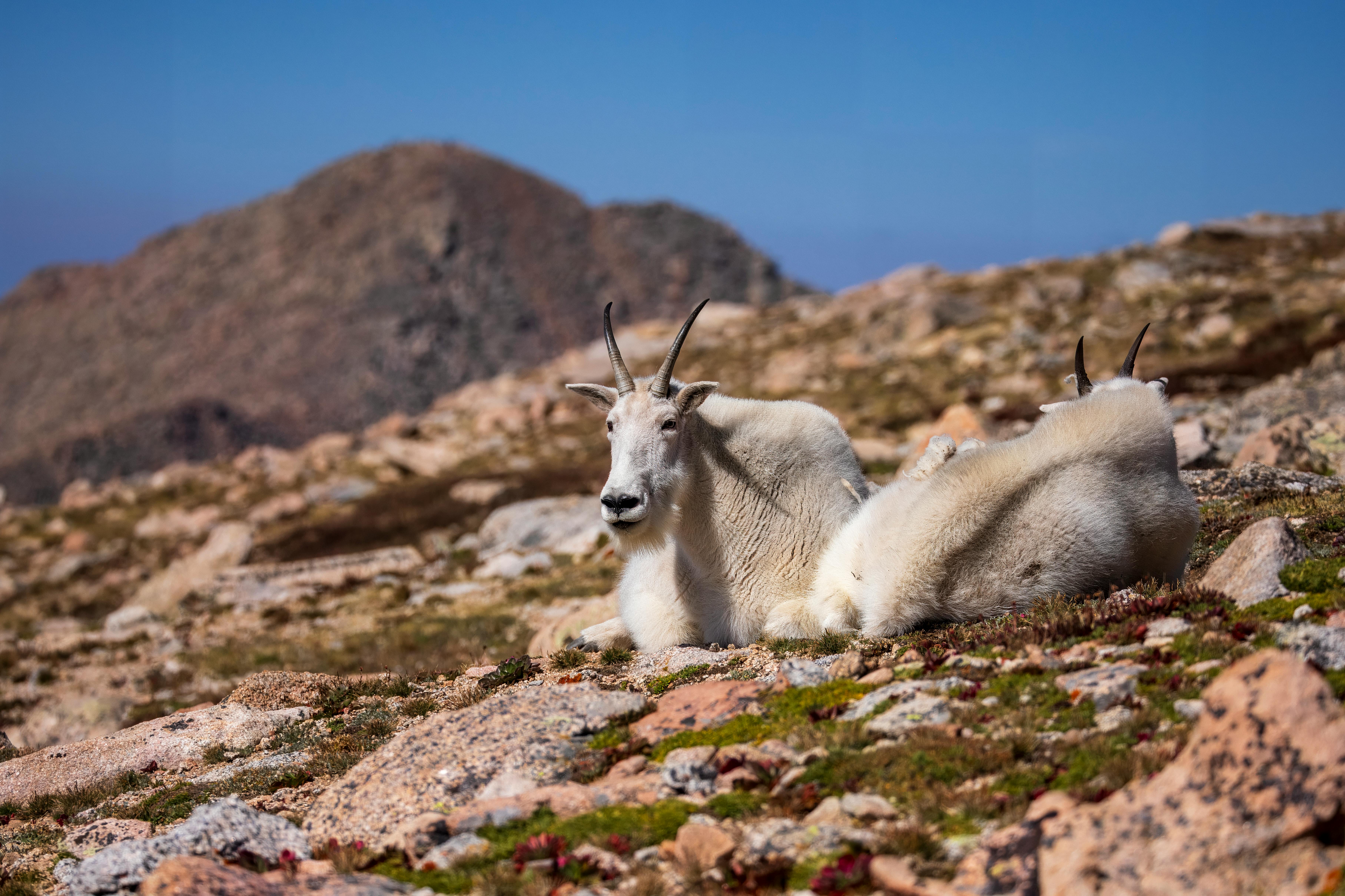 Big Horn Outdoor Adventure Show - Spokane and North Idaho community calendar - The Spokesman — Photo by Steve Burcham on Pexe