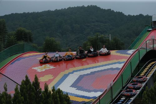 Free Group enjoying a thrilling tube slide ride in an outdoor adventure park. Stock Photo