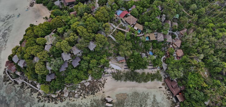 Stunning aerial view of a tropical village nestled among lush trees near a sandy shore.