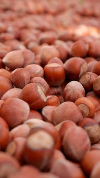 Hazelnuts — kidney-friendly food