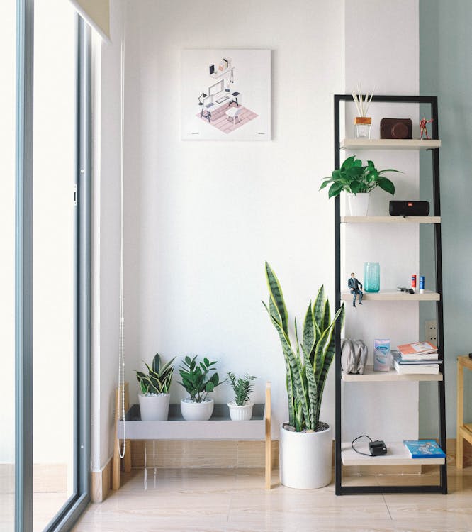  A room with minimalistic décor, plants, and aluminum doors.