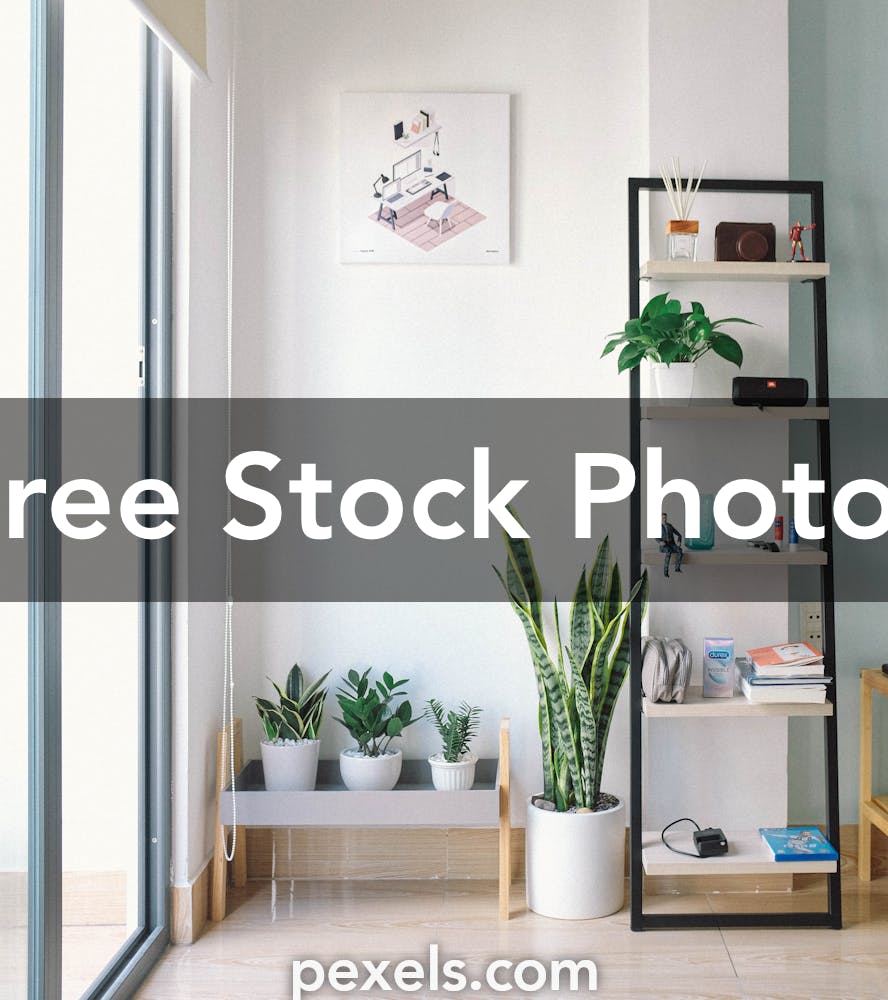 1000 Amazing Interior Photos · Pexels · Free Stock Photos
