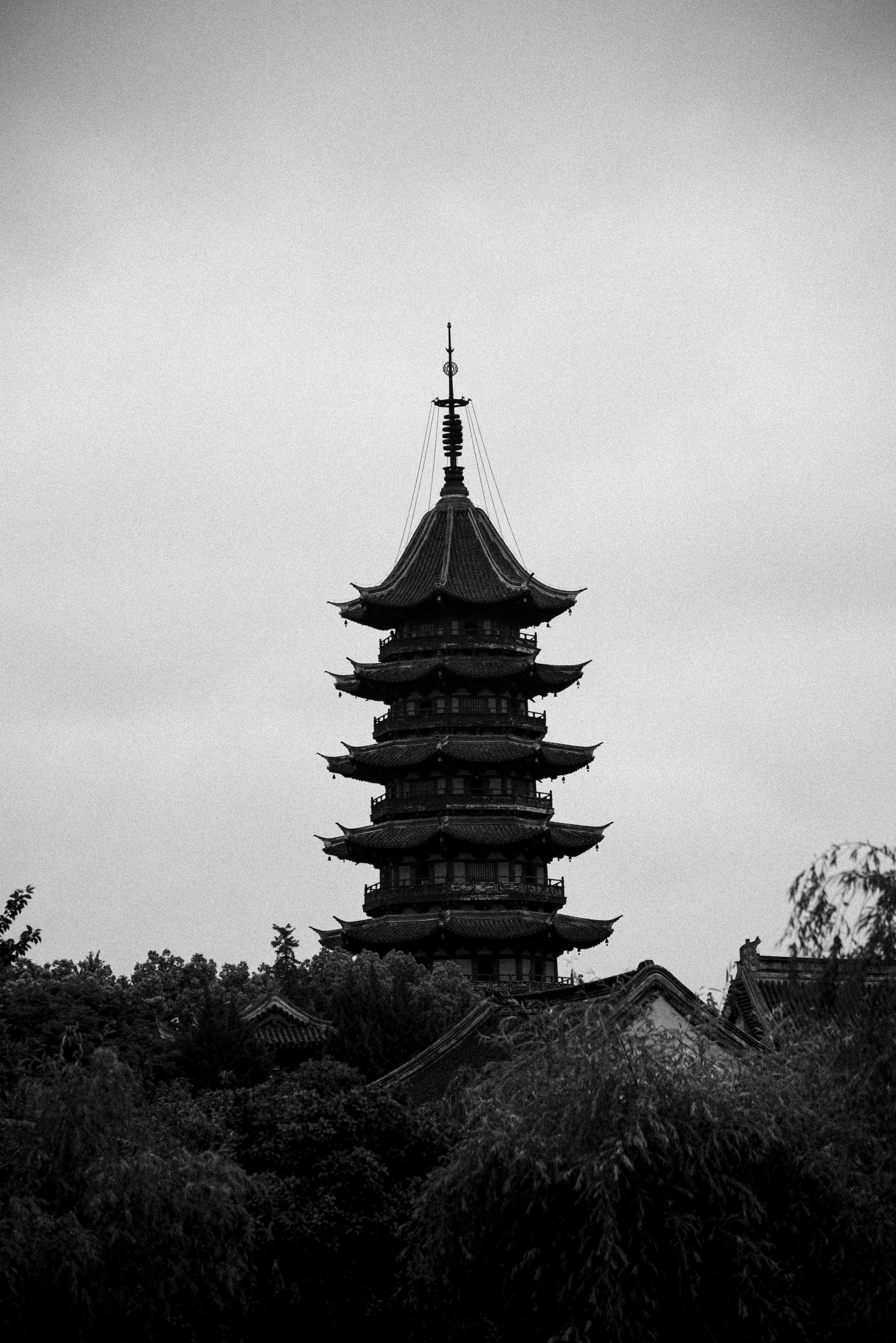 A majestic black and white photo of a historic pagoda surrounded by trees, ideal for travel and architecture lovers.