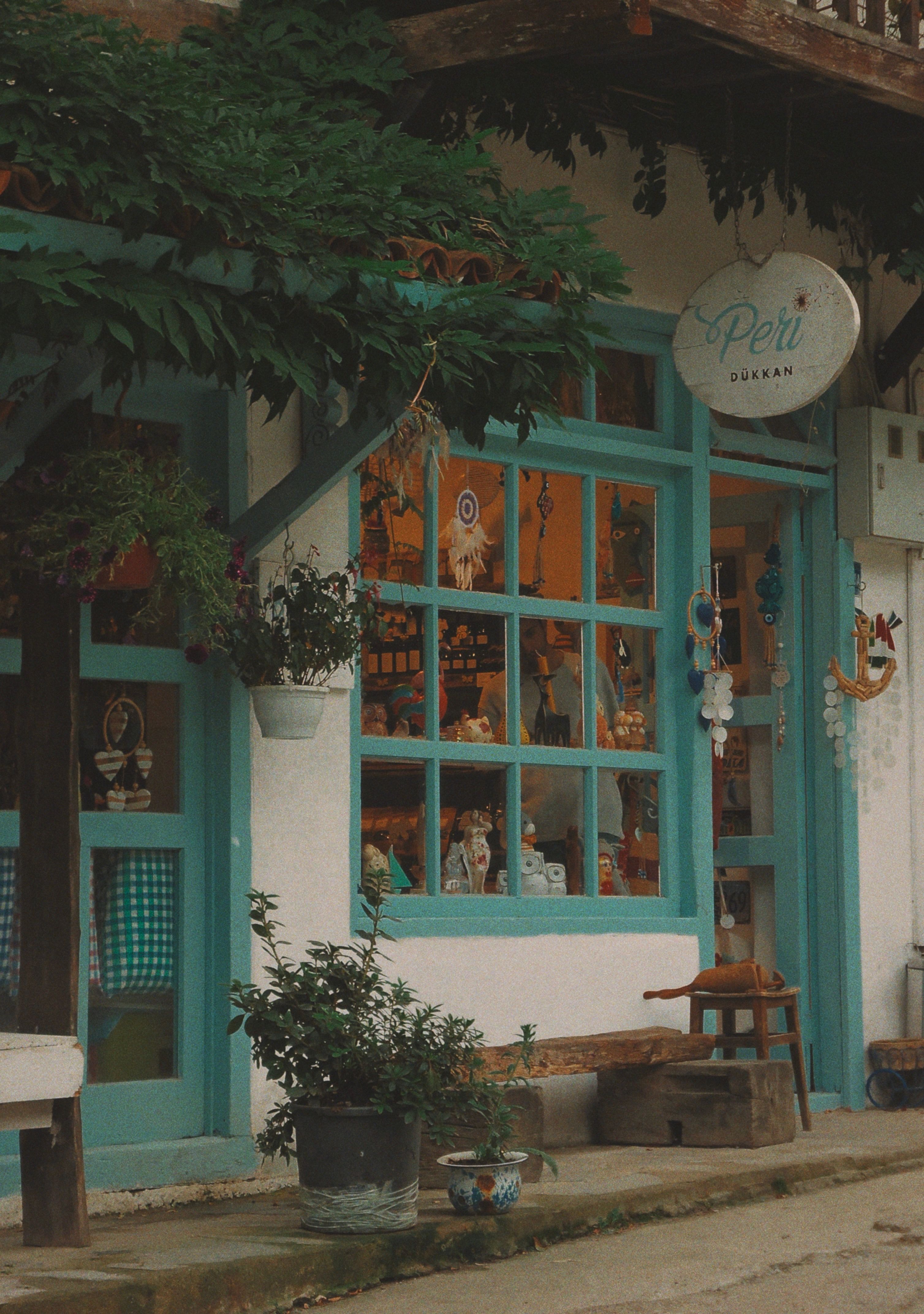 Charming boutique with rustic elements and decorative plants, showcasing cultural items.