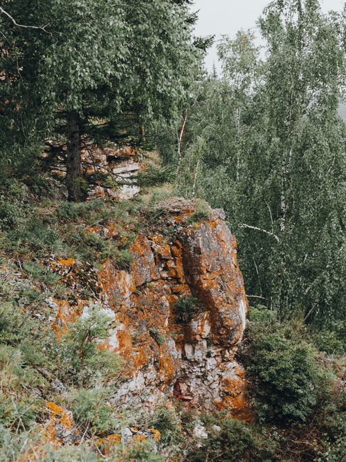 Free A lush summer landscape featuring a rocky cliff surrounded by dense green forest in Ust-Kut, Russia. Stock Photo