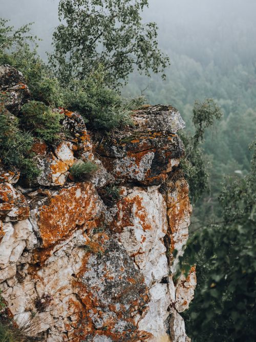 Free A dramatic view of a rocky cliff with lichens and greenery in a misty forest setting. Stock Photo