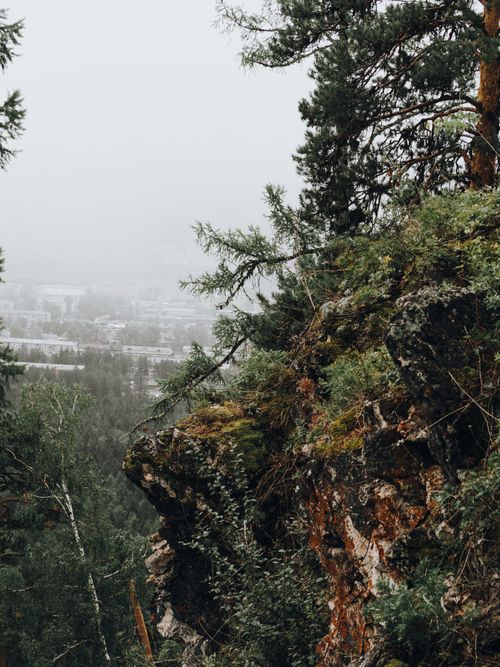 Free Discover the tranquil beauty of a misty pine forest on a rocky edge in Ust-Kut, Russia. Stock Photo