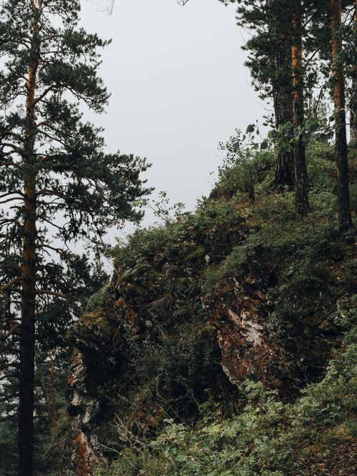 Free Beautiful coniferous forest landscape in Ust-Kut, Russia, showcasing vibrant greenery and rocky terrain. Stock Photo