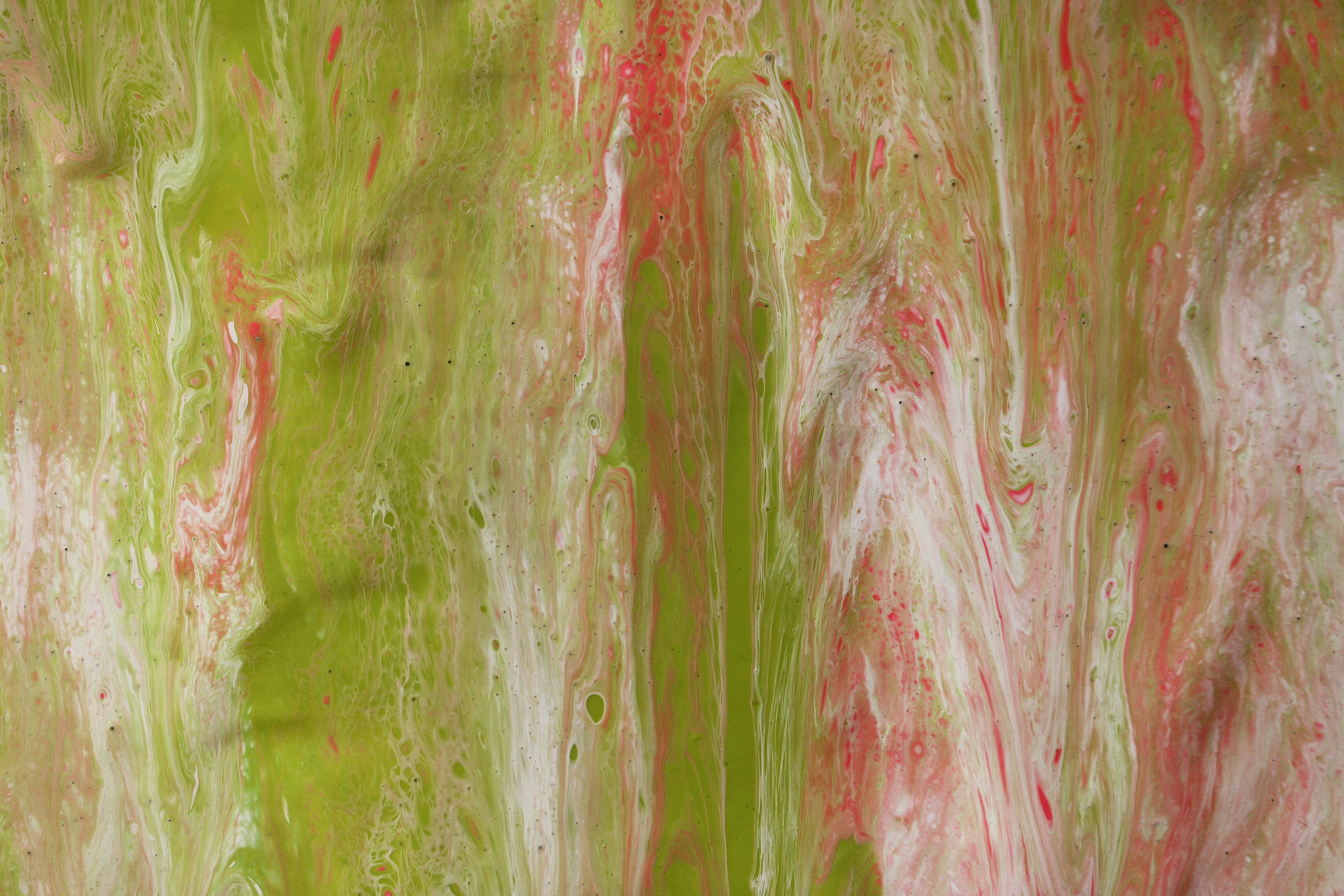 똑 버스 가격 관련 이미지