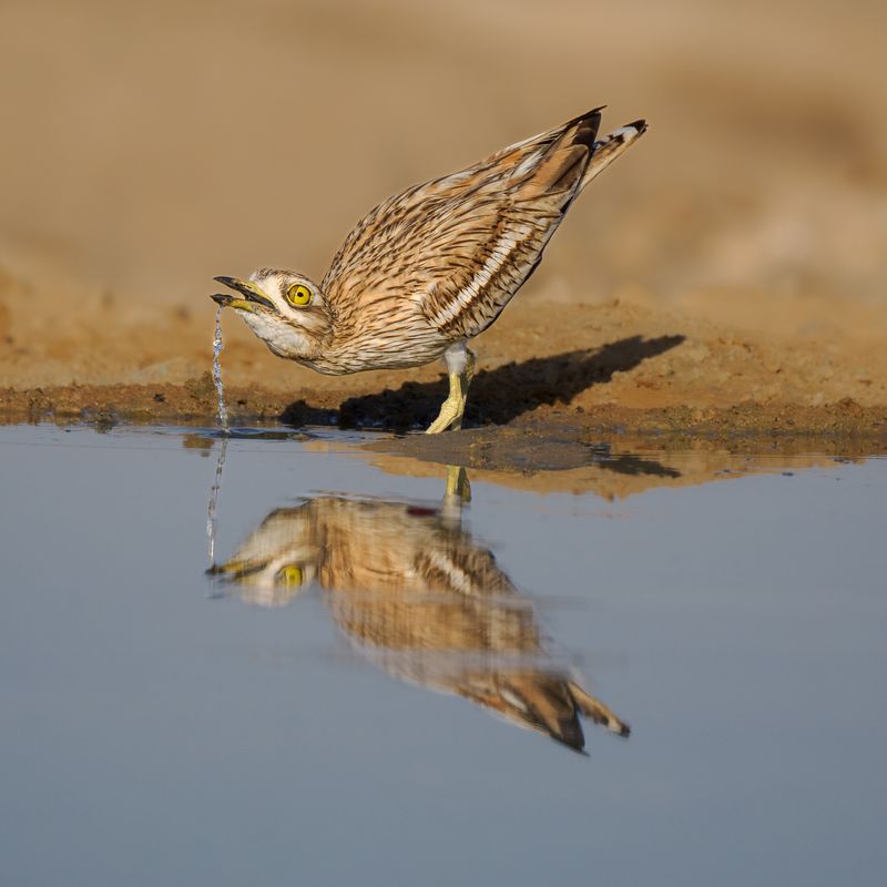 Microplastics in Drinking Water Explained: 5 Key Facts