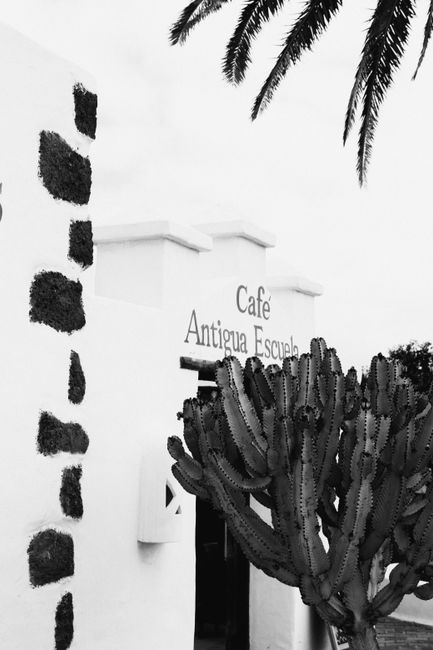 A stylish black and white photo of a cafe entrance accented with a large cactus, evoking a classic vibe.