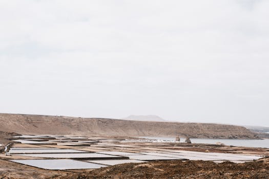 Wide view of salt pans by a coastal landscape with arid hills under a soft sky.