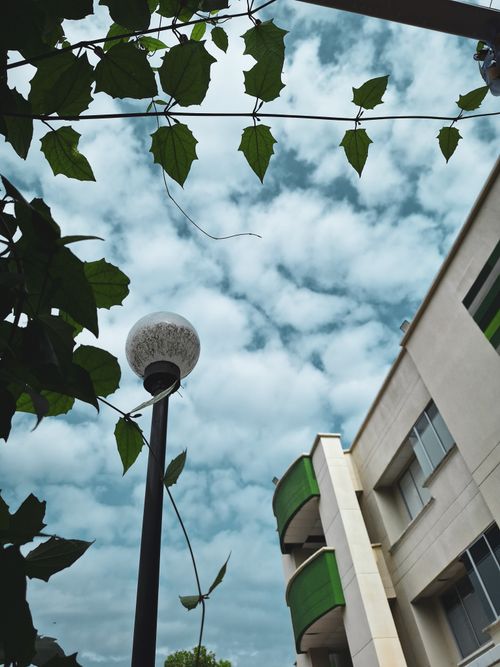 Free La esfera Stock Photo