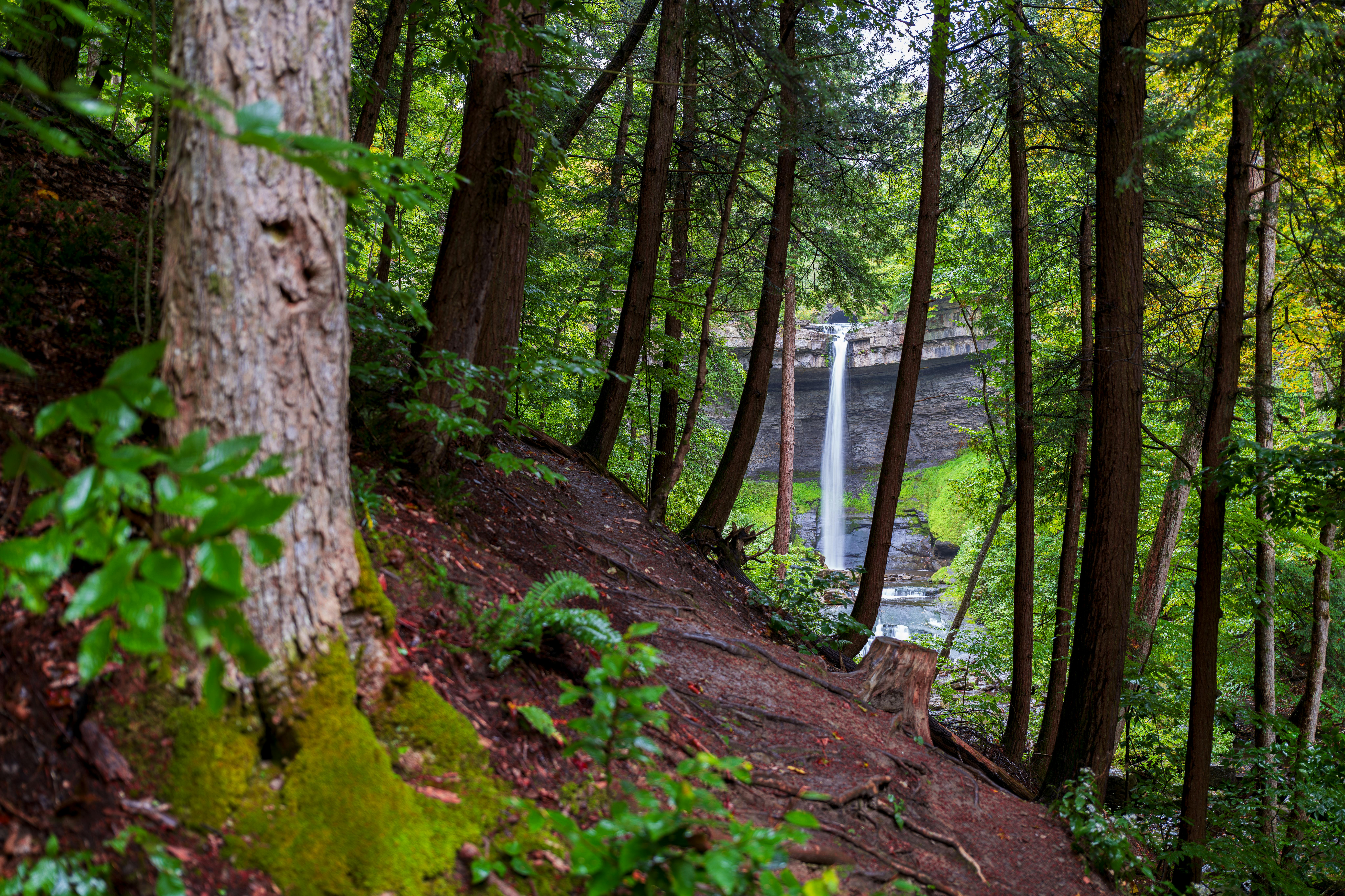 Photo of Finger Lakes