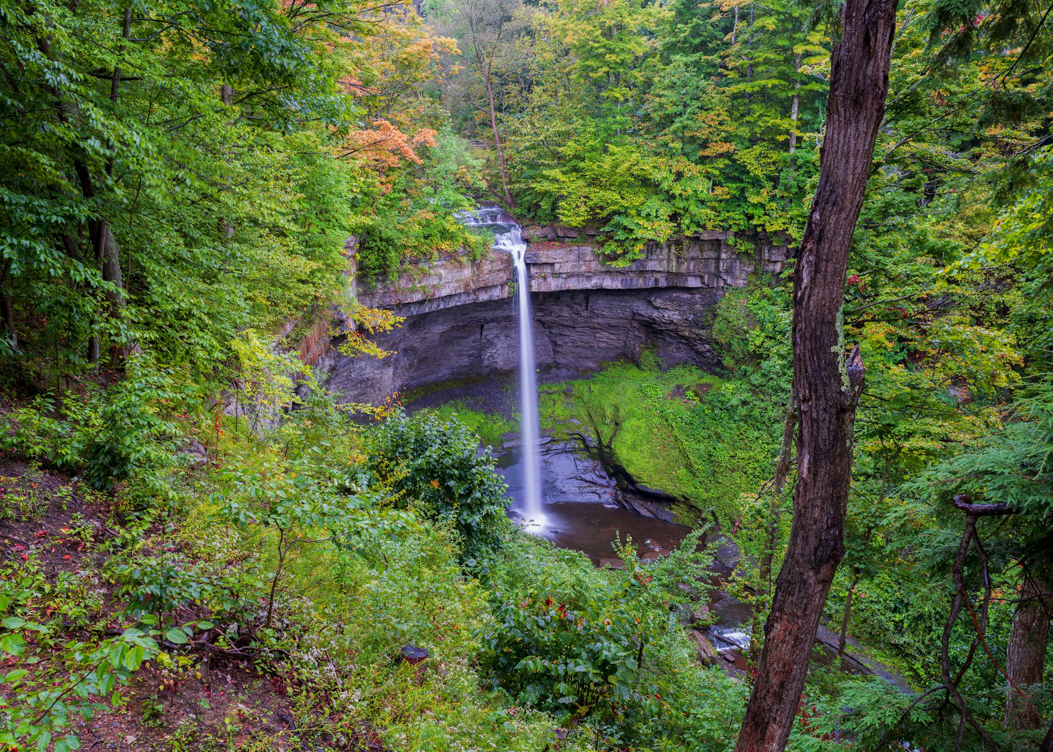 free photo of bahar preserve and carpenter s falls 7x5 28mm