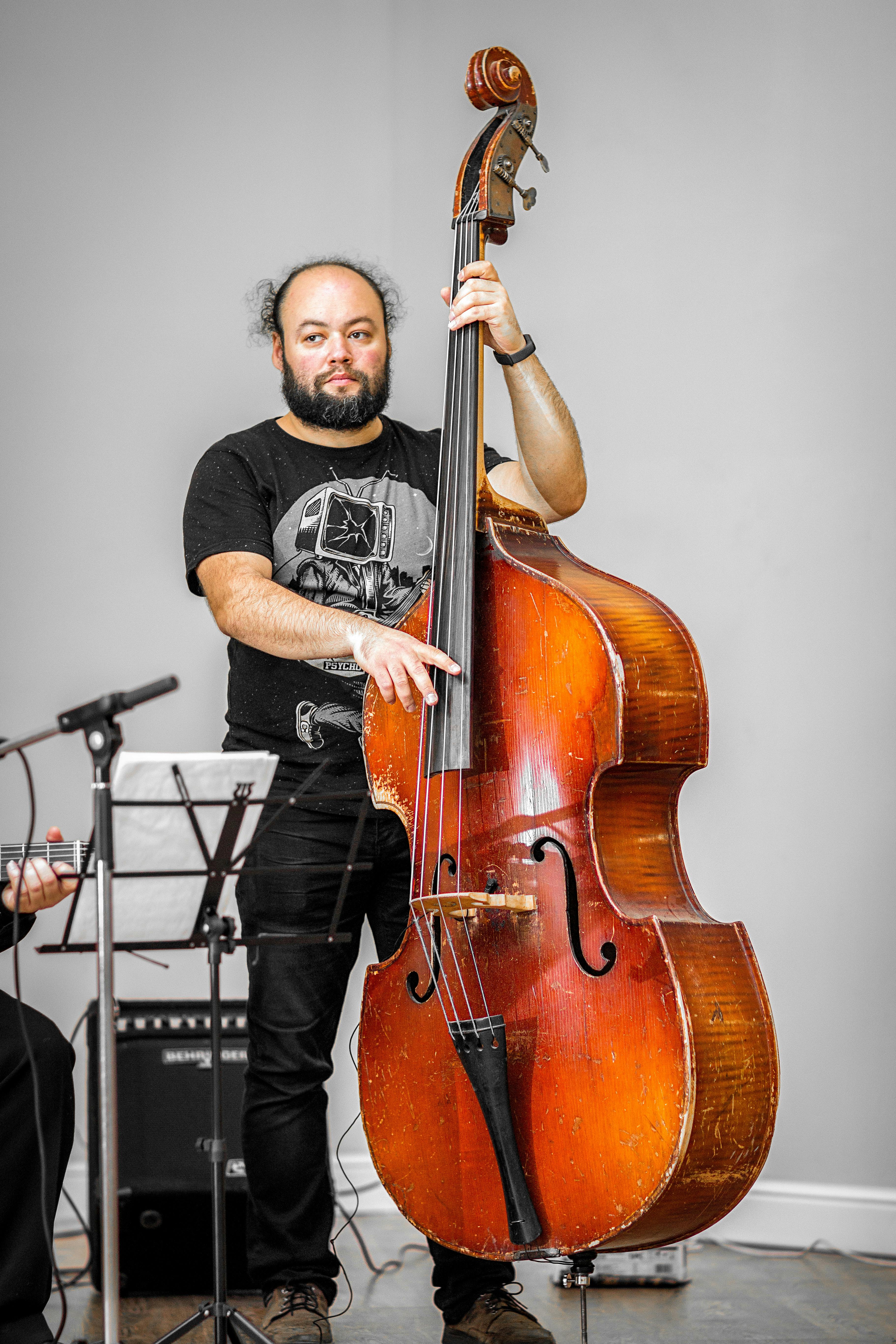 Person Playing Stringed Instrument · Free Stock Photo