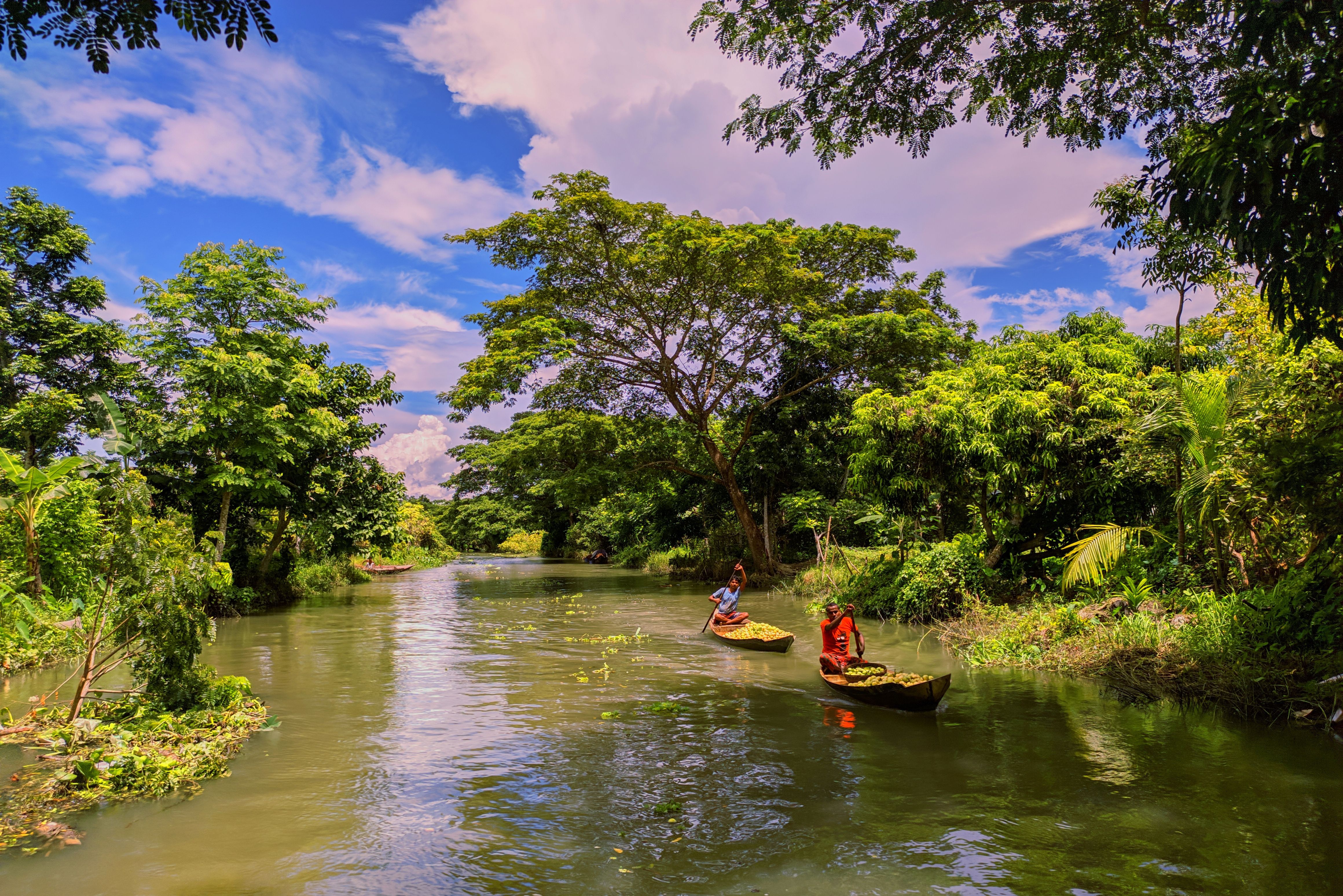 Explore tranquil boat rides along the lush Barishal River in Bangladesh, surrounded by tropical greenery.