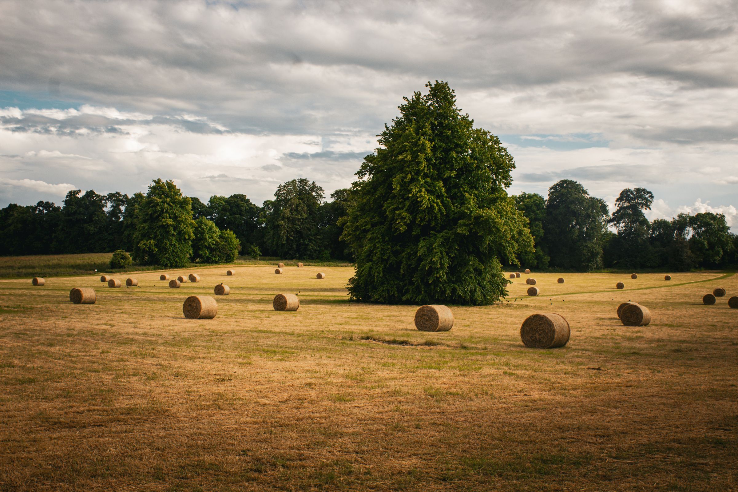 Hay bales on rural farmland in Kilkenny, Ireland during fall under a cloudy sky