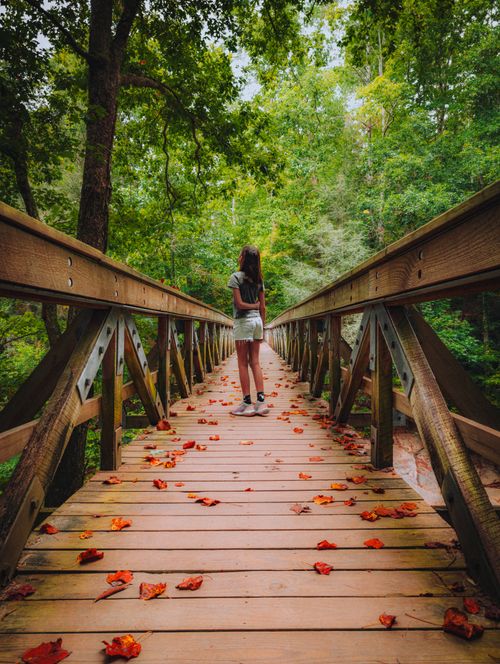 Free A woman enjoys a tranquil walk on a wooden footbridge surrounded by lush forest scenery. Stock Photo