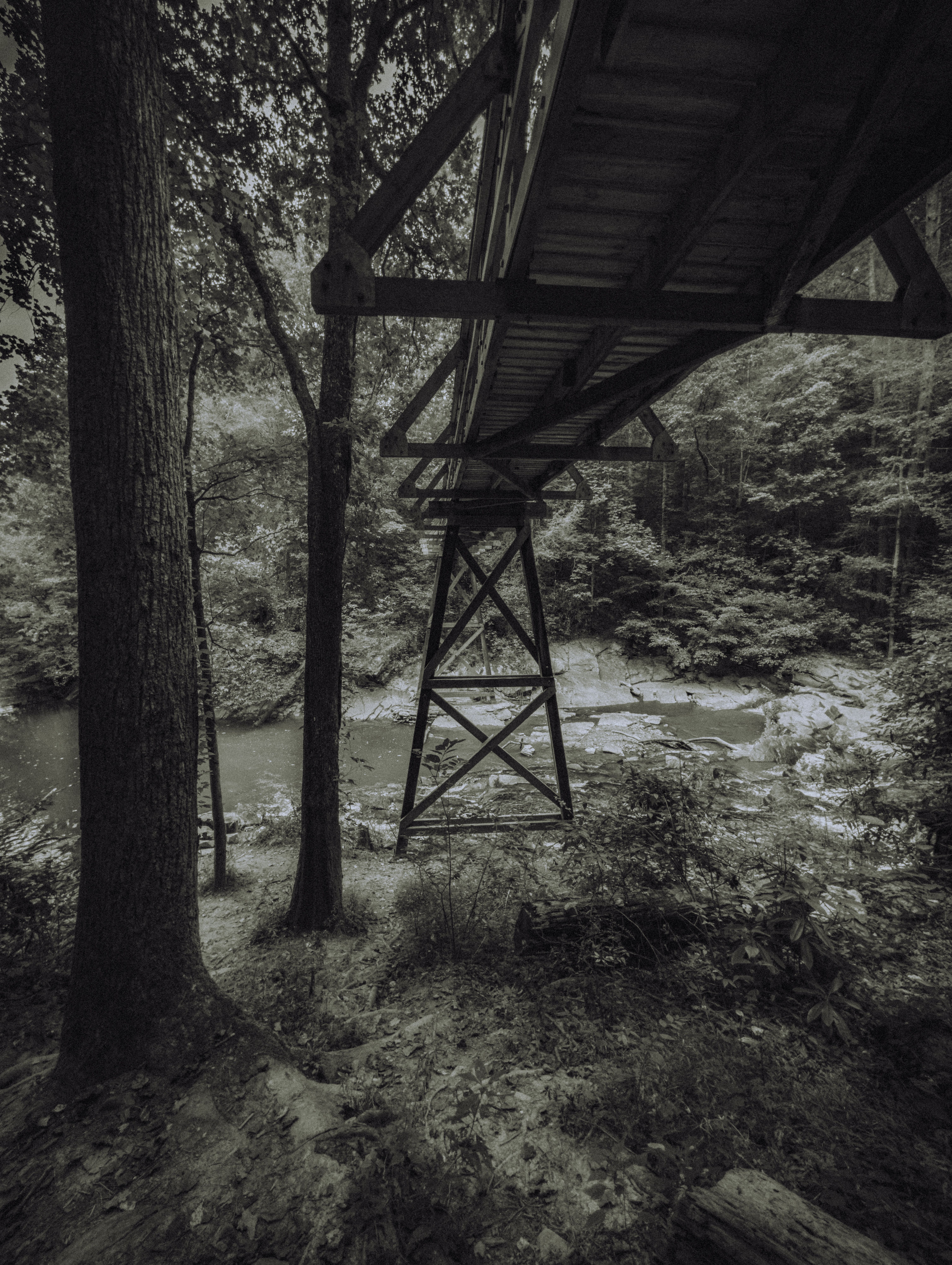 A black and white photo of a bridge over a river · Free Stock Photo