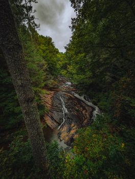 Majestätischer Wald & Wasserfall – Naturmotiv als Hintergrundbild