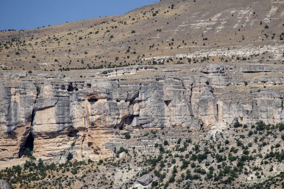 https://images.pexels.com/photos/28276443/pexels-photo-28276443.jpeg?auto=compress&cs=tinysrgb&h=650&w=940
