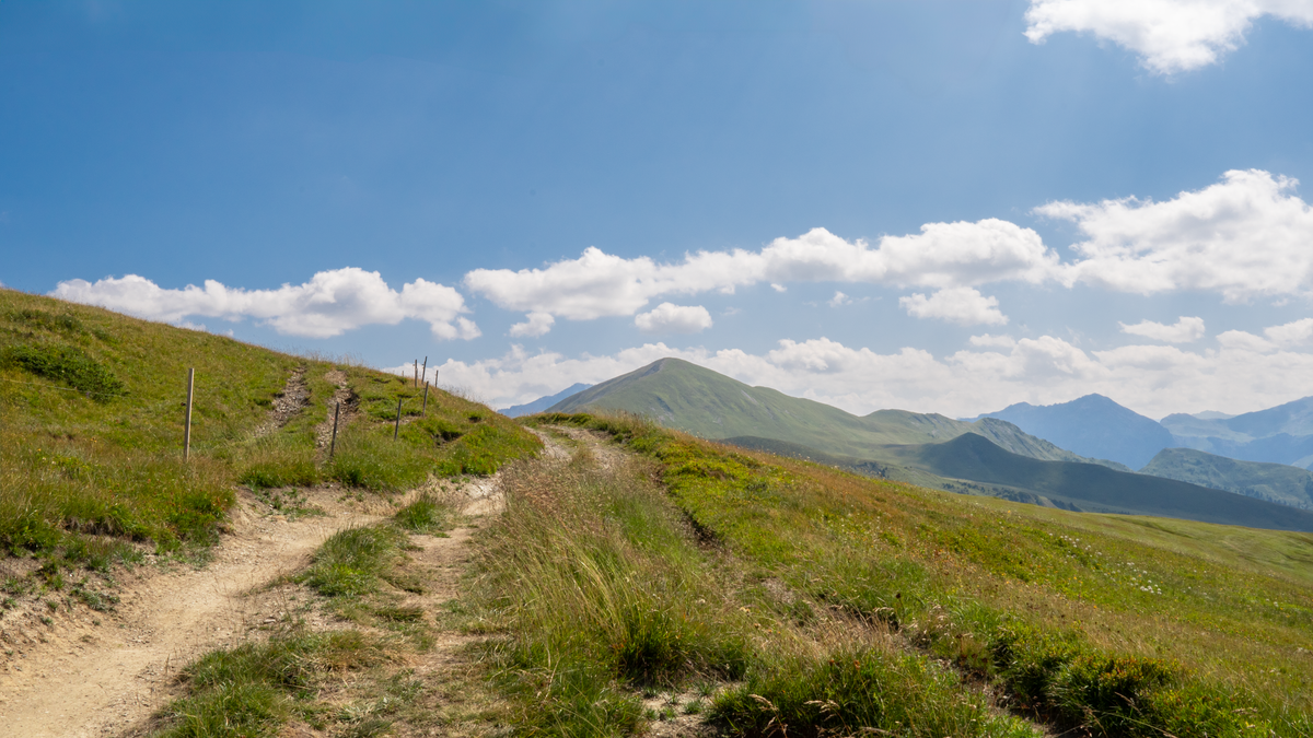 Explore the stunning meadows and mountains on a summer hike in Arosa, Switzerland.