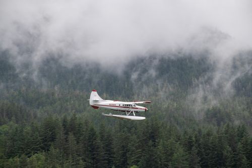 Free A seaplane flying over a misty forest with fog rolling over the mountains, capturing a scenic adventure mood. Stock Photo