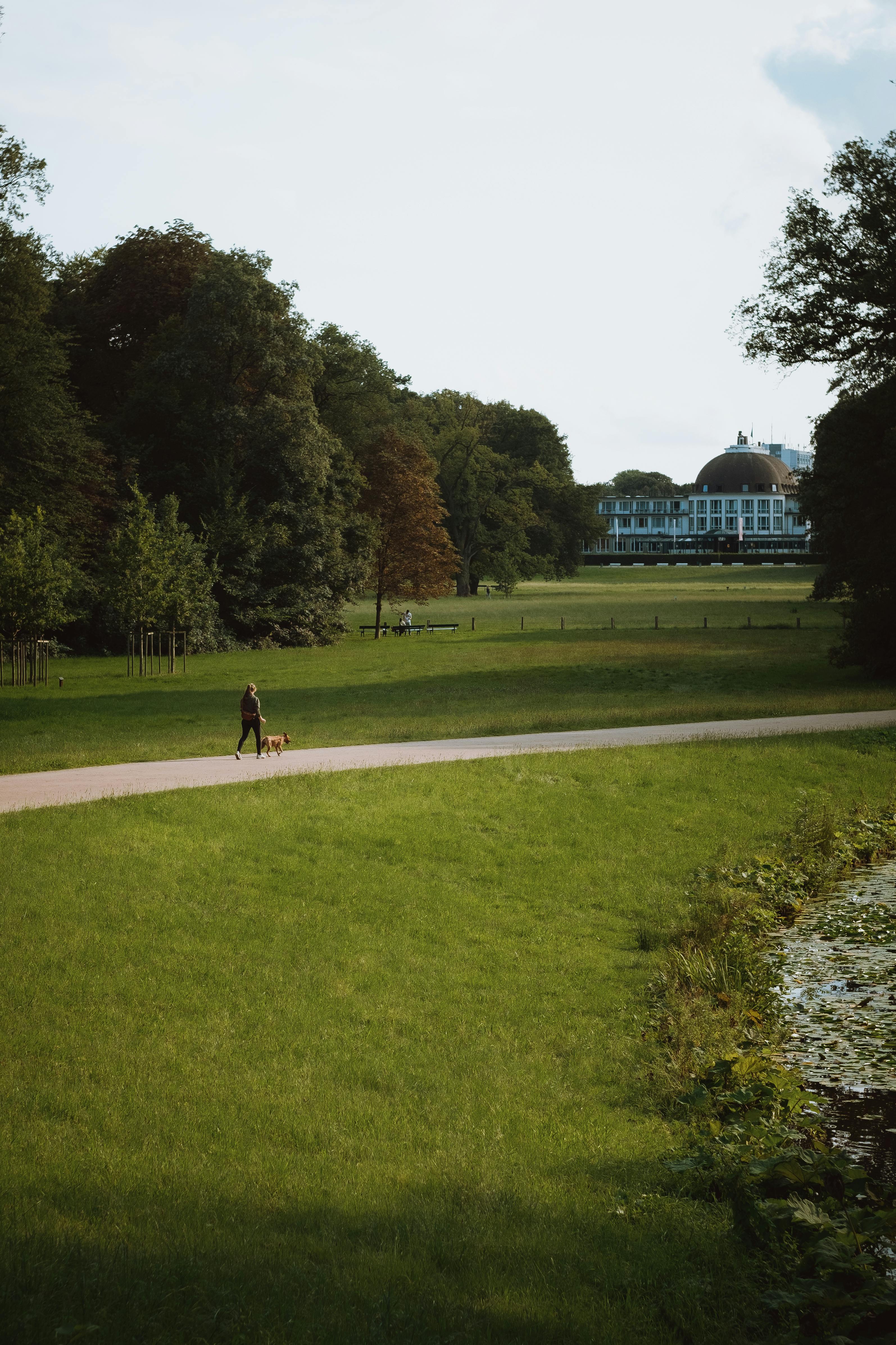 a person walking down a path in a park