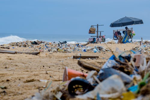 Free Piles Of Garbage By The Shore Stock Photo