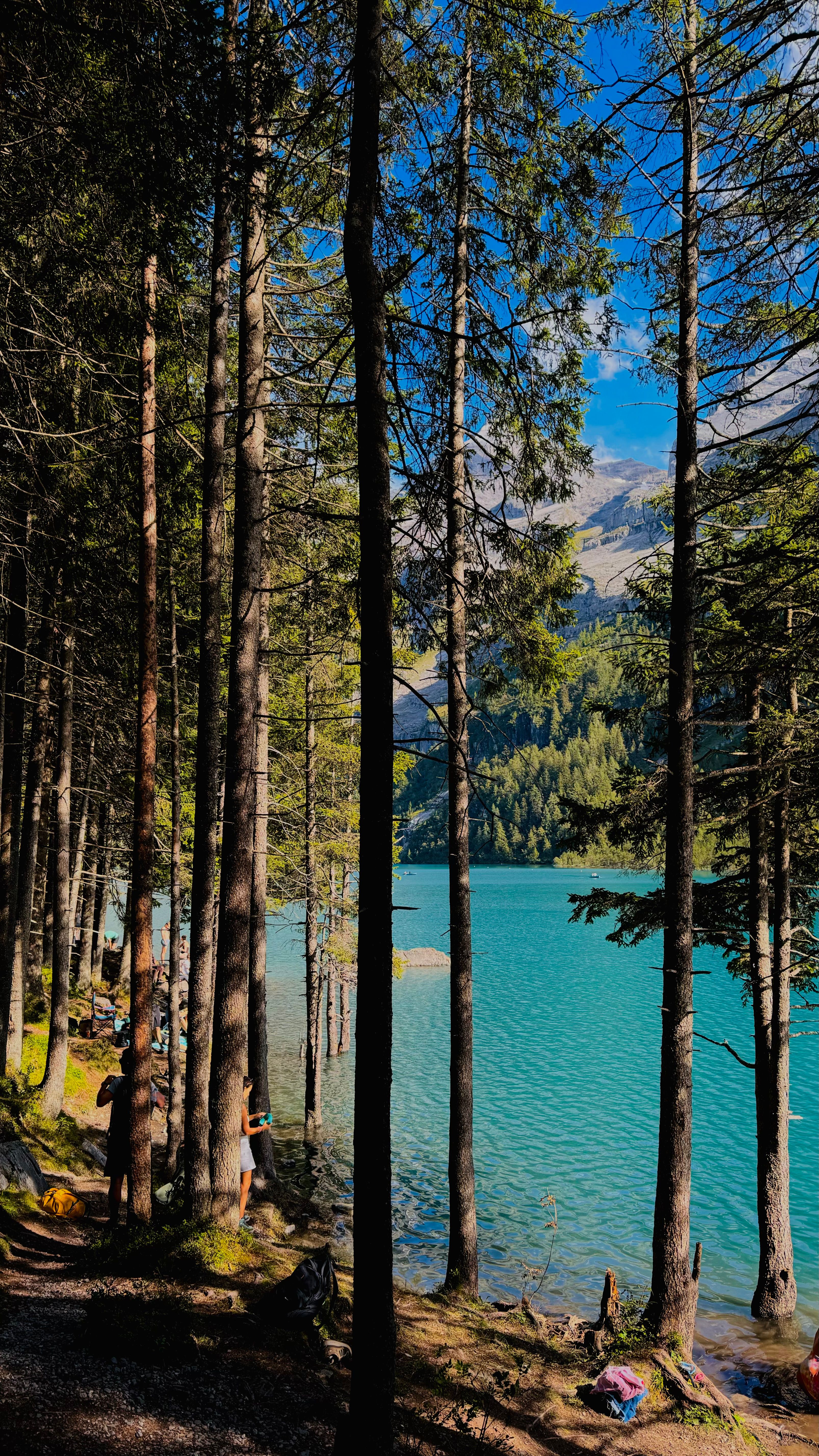 Scenic View of a Lake and Forest Trees on the Lakeshore · Free Stock Photo