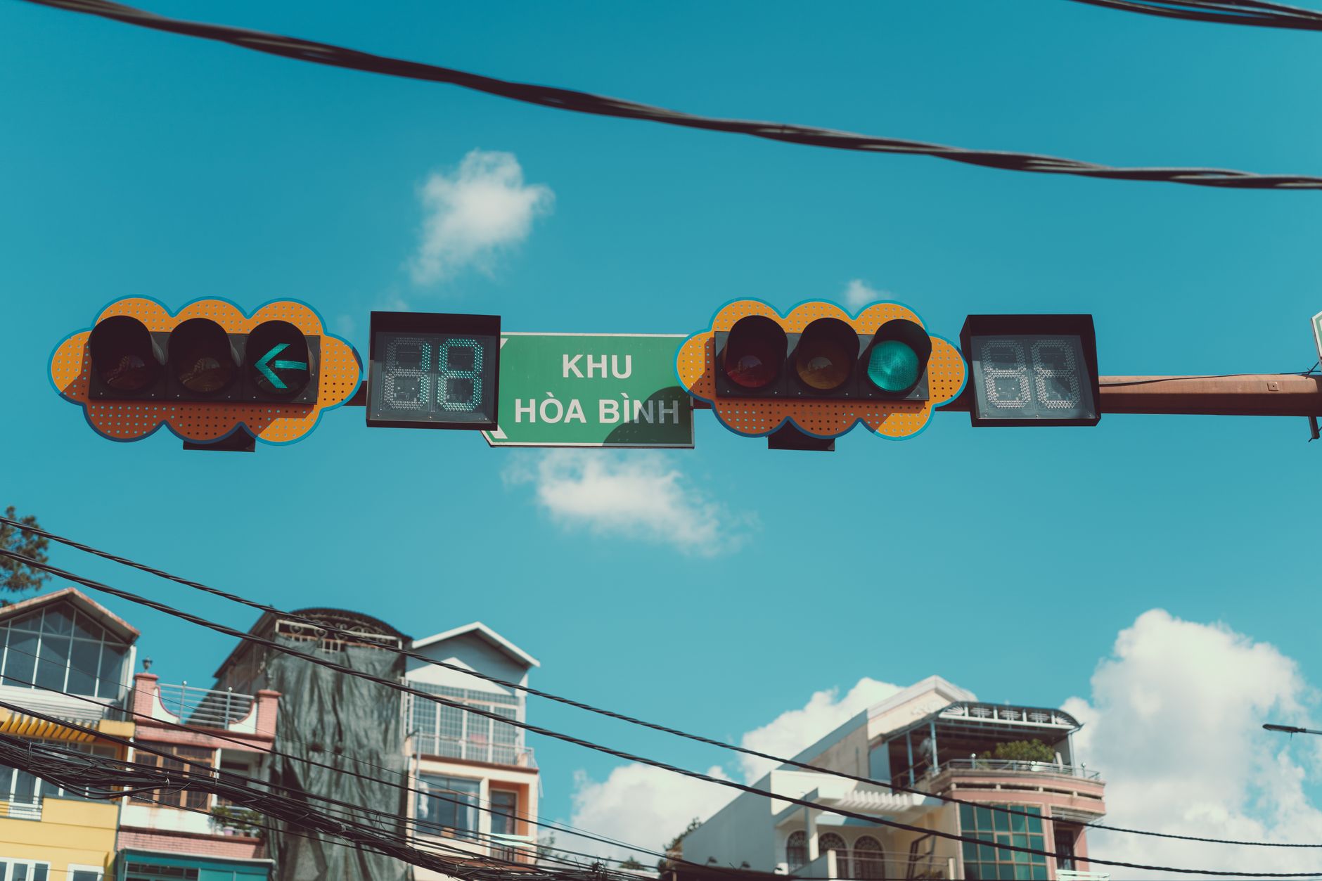 Khu chuồng gà biệt lập phía sau hàng rào, vài con gà trống đứng yên trong ánh sáng buổi sớm