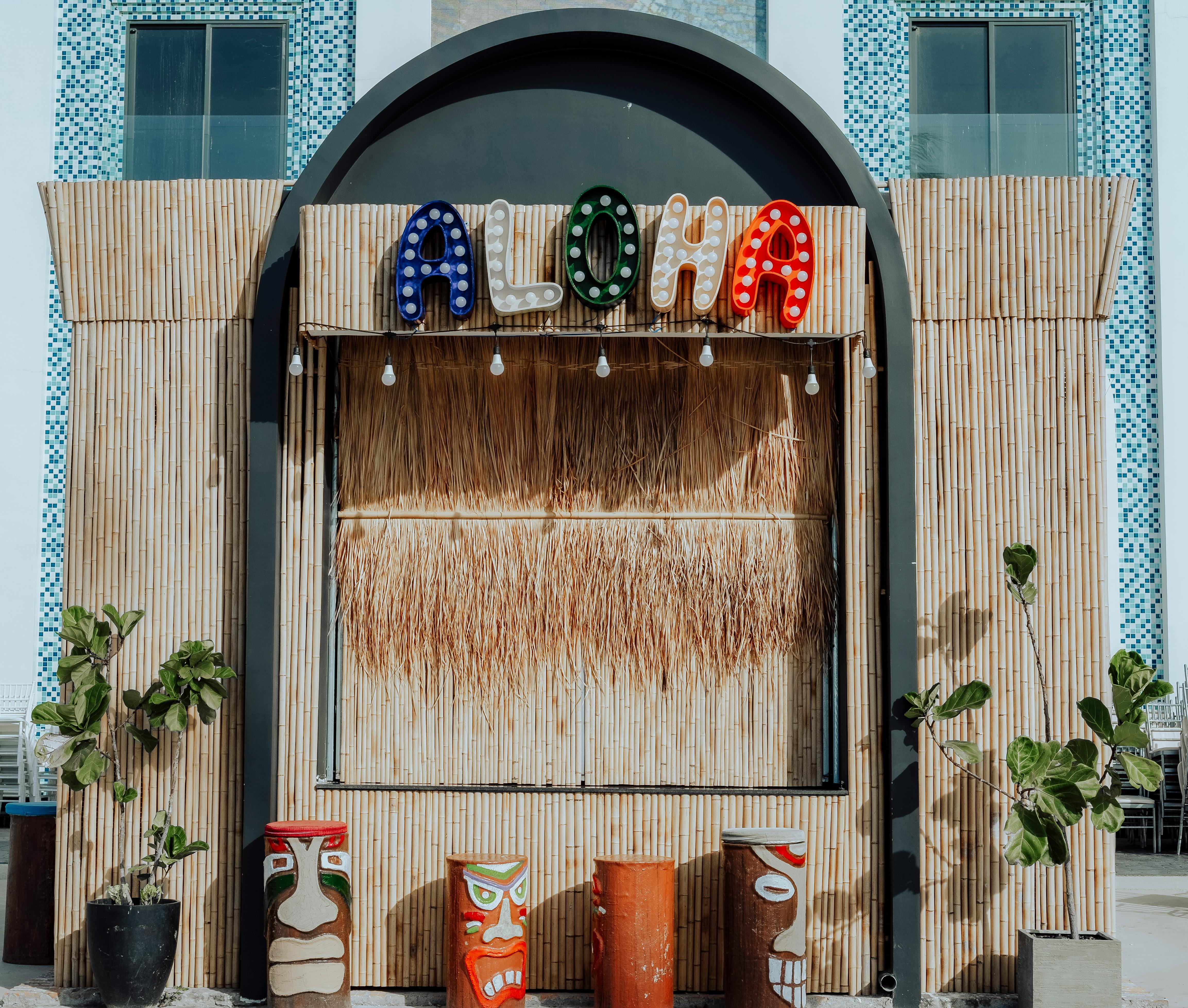 general entertainment authority ksa — Photo by ㅤ quang vinh ㅤ on Pexels
