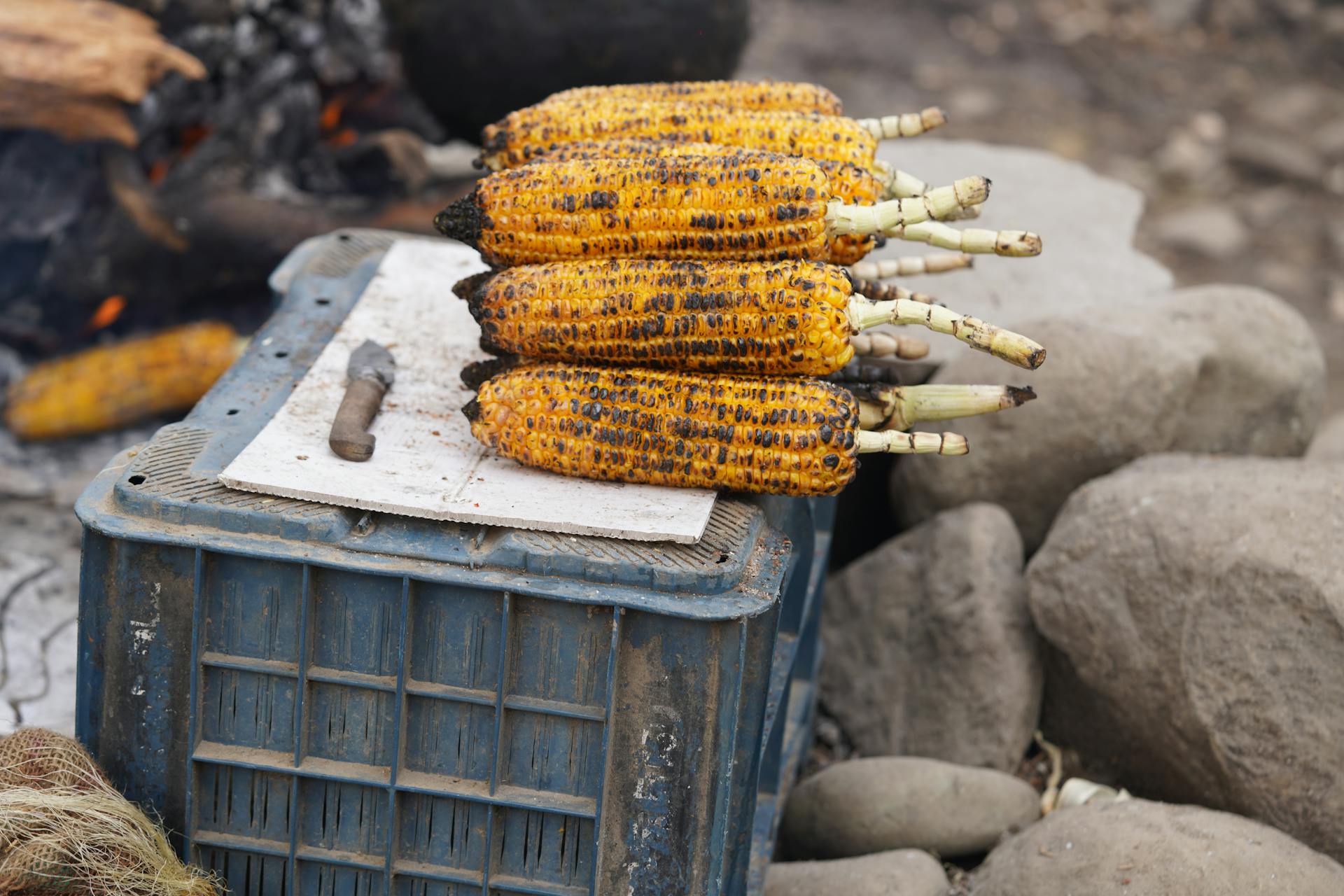 Roasted Corn on Crate