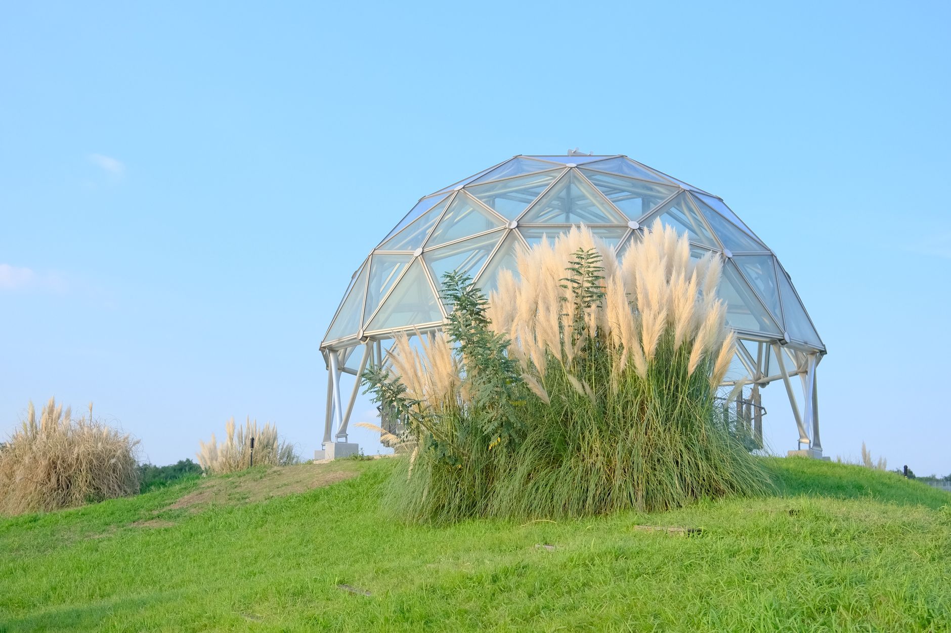 A geodesic glass dome set amidst lush summer foliage in Nagoya, Japan.