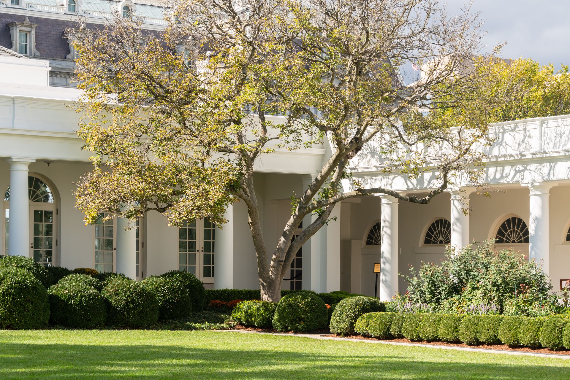 Exterior view of the White House in Washington