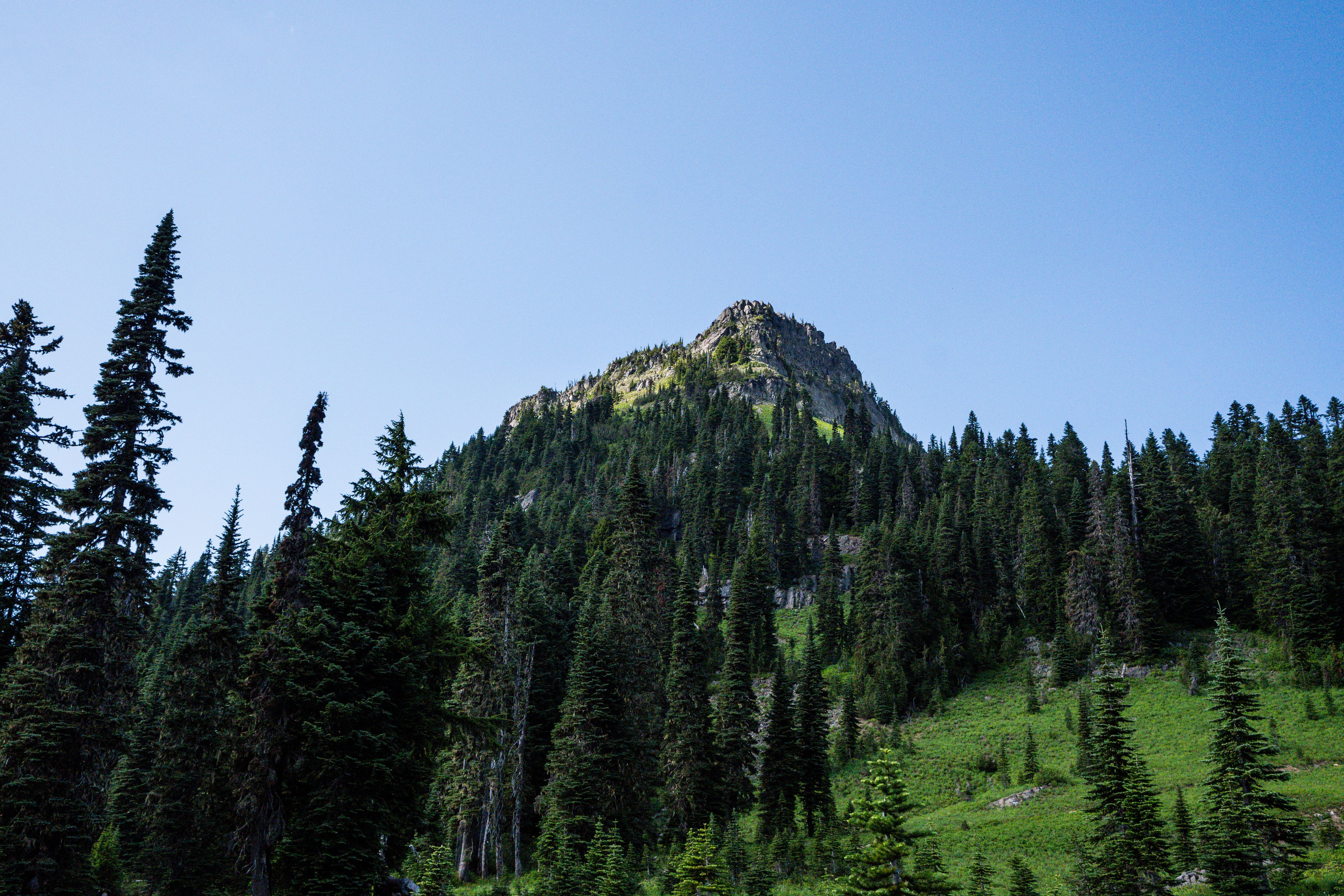 Best Skiing and Snowboarding Near Western Washington Homes 2023