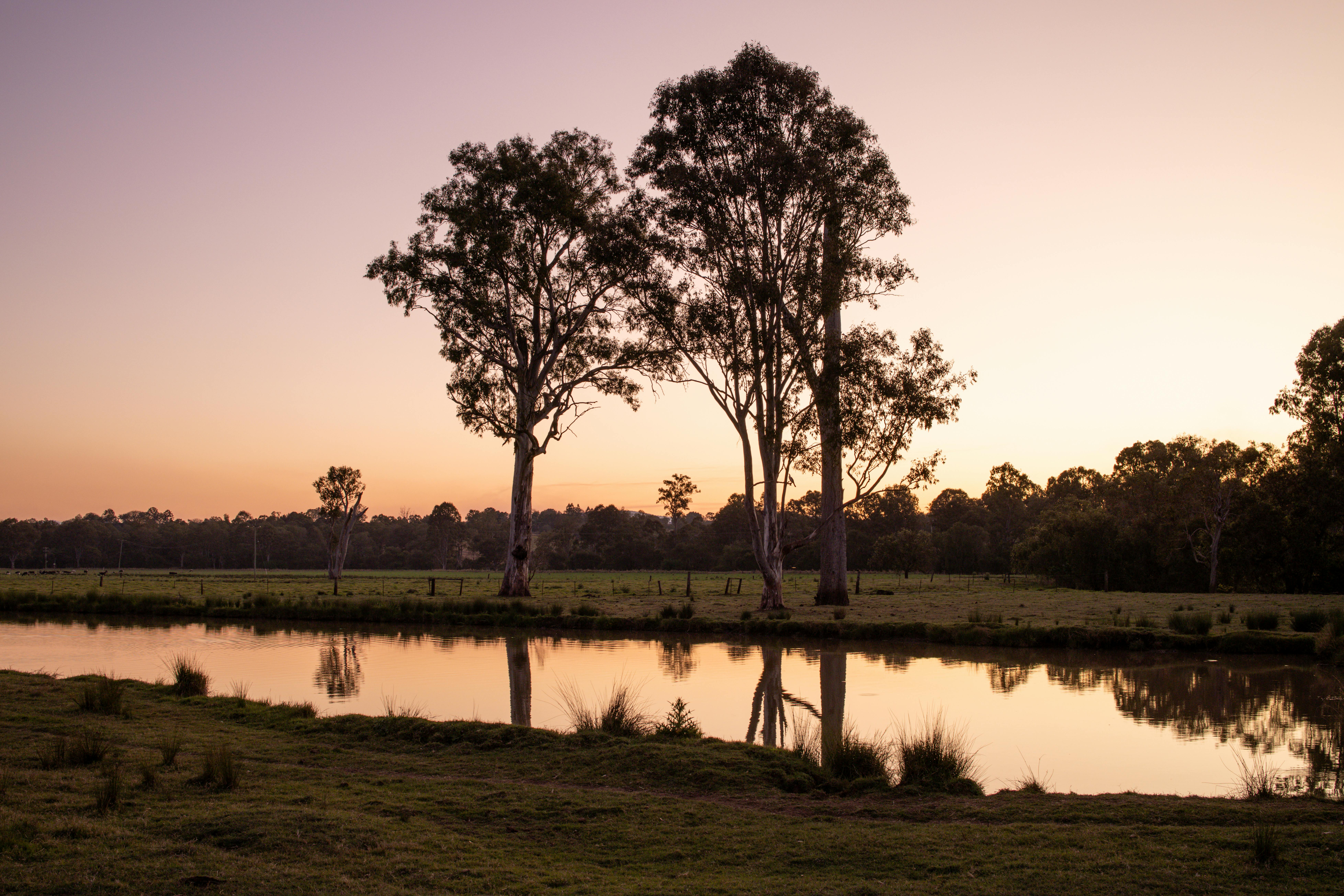 serene natural landscape in Queensland for reflection and recovery - executive alcohol treatment