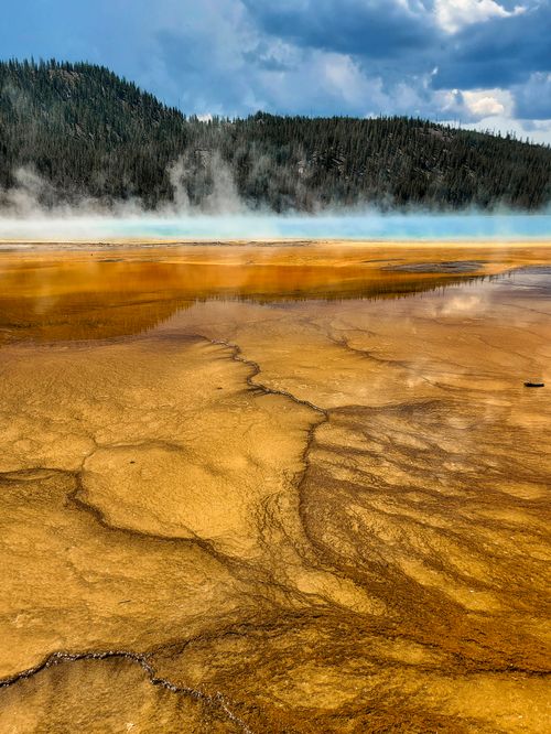 Free Colorful geothermal pool with steam, surrounded by lush forest. Stock Photo