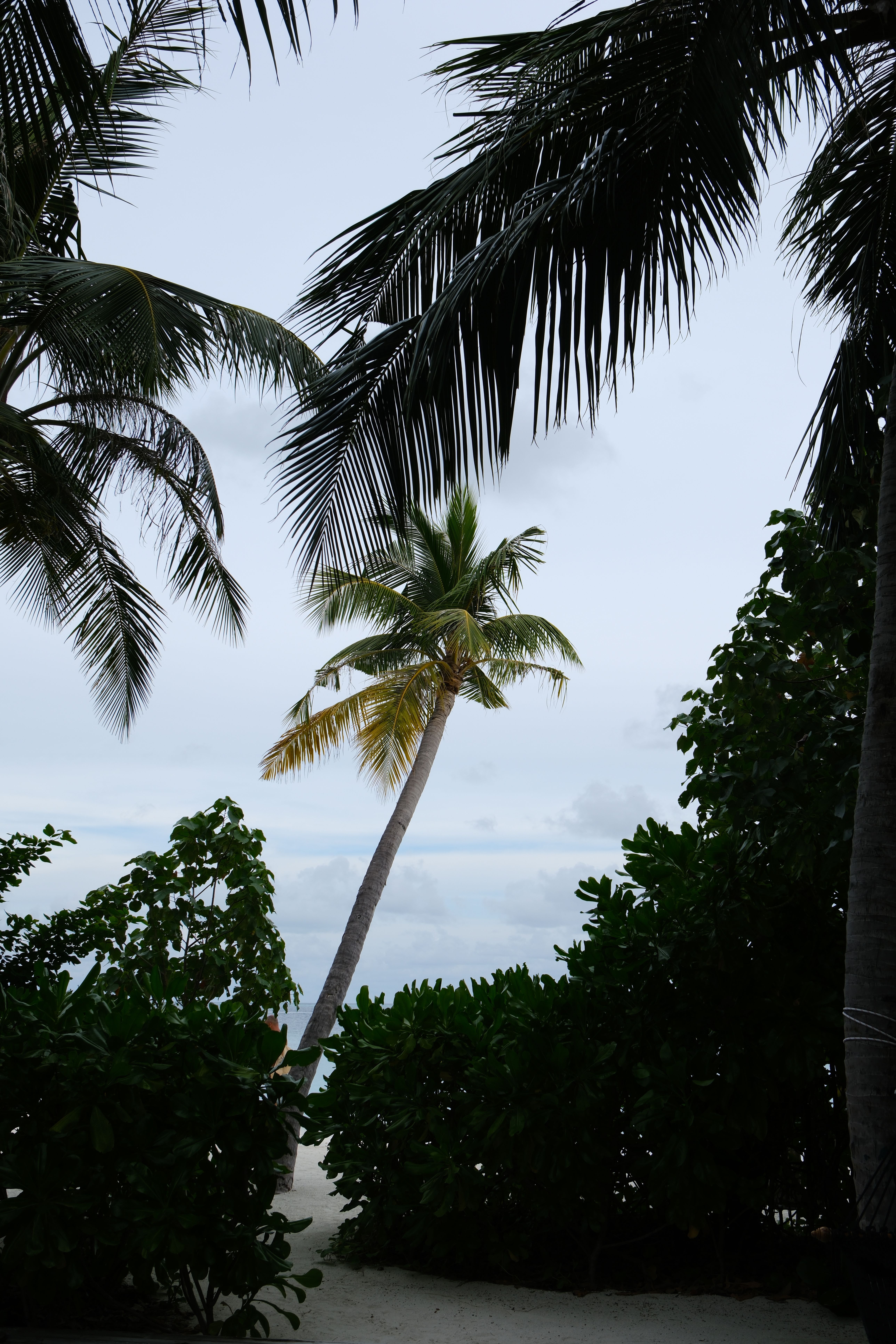 Maldives — paysage de voyage Amanéa