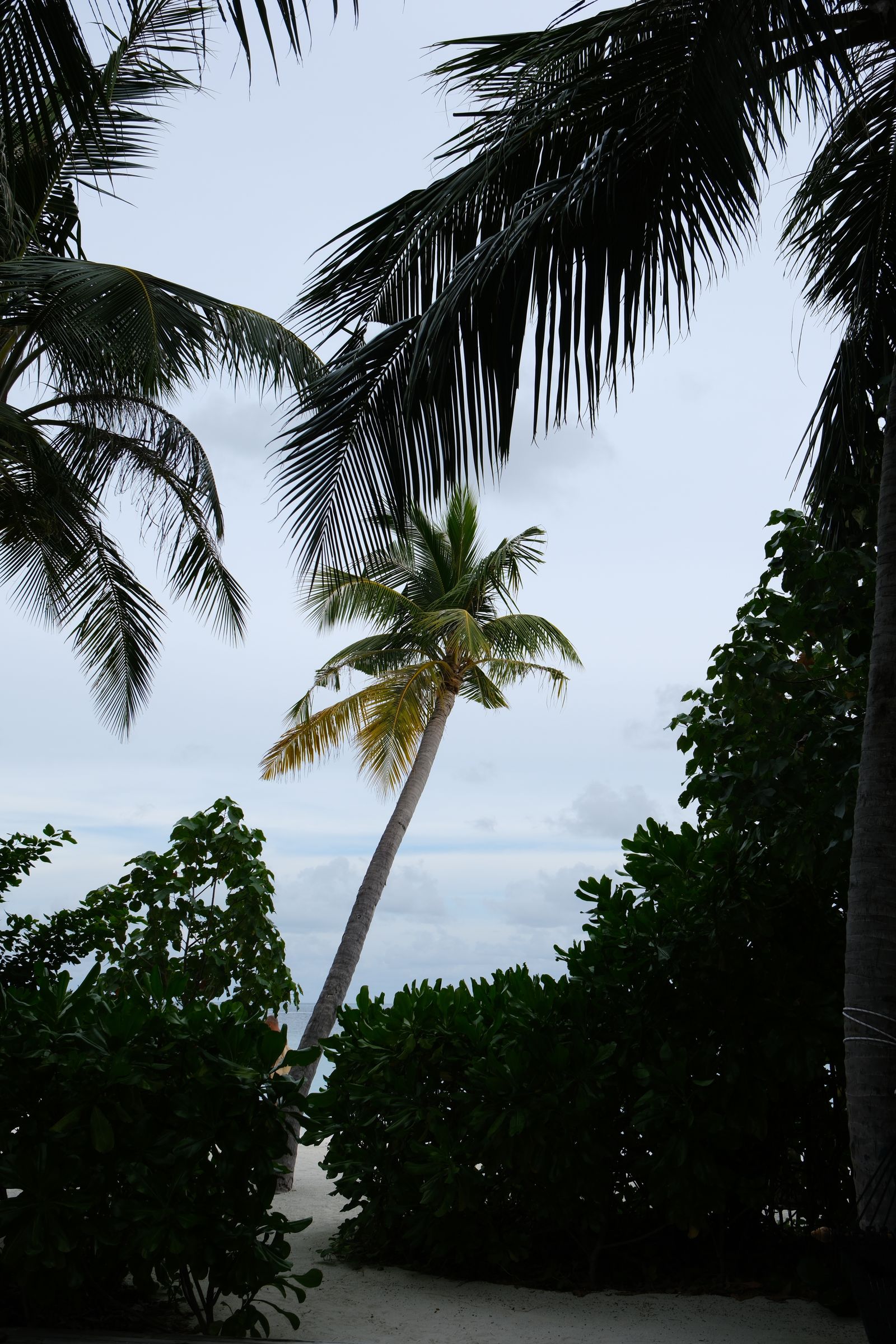 The southern beach