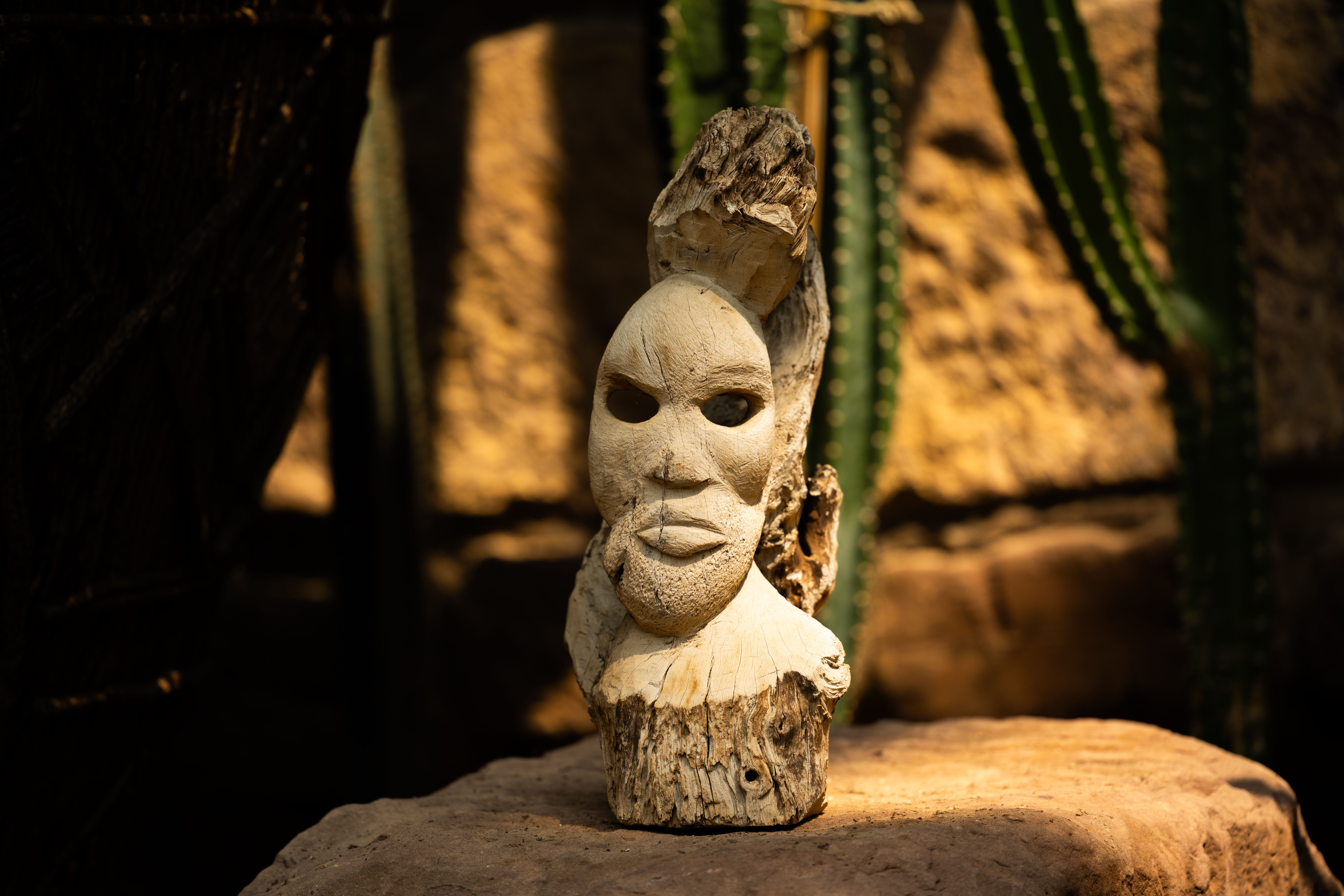 A detailed wooden sculpture of a face, highlighted by sunlight, amidst shadows and greenery.