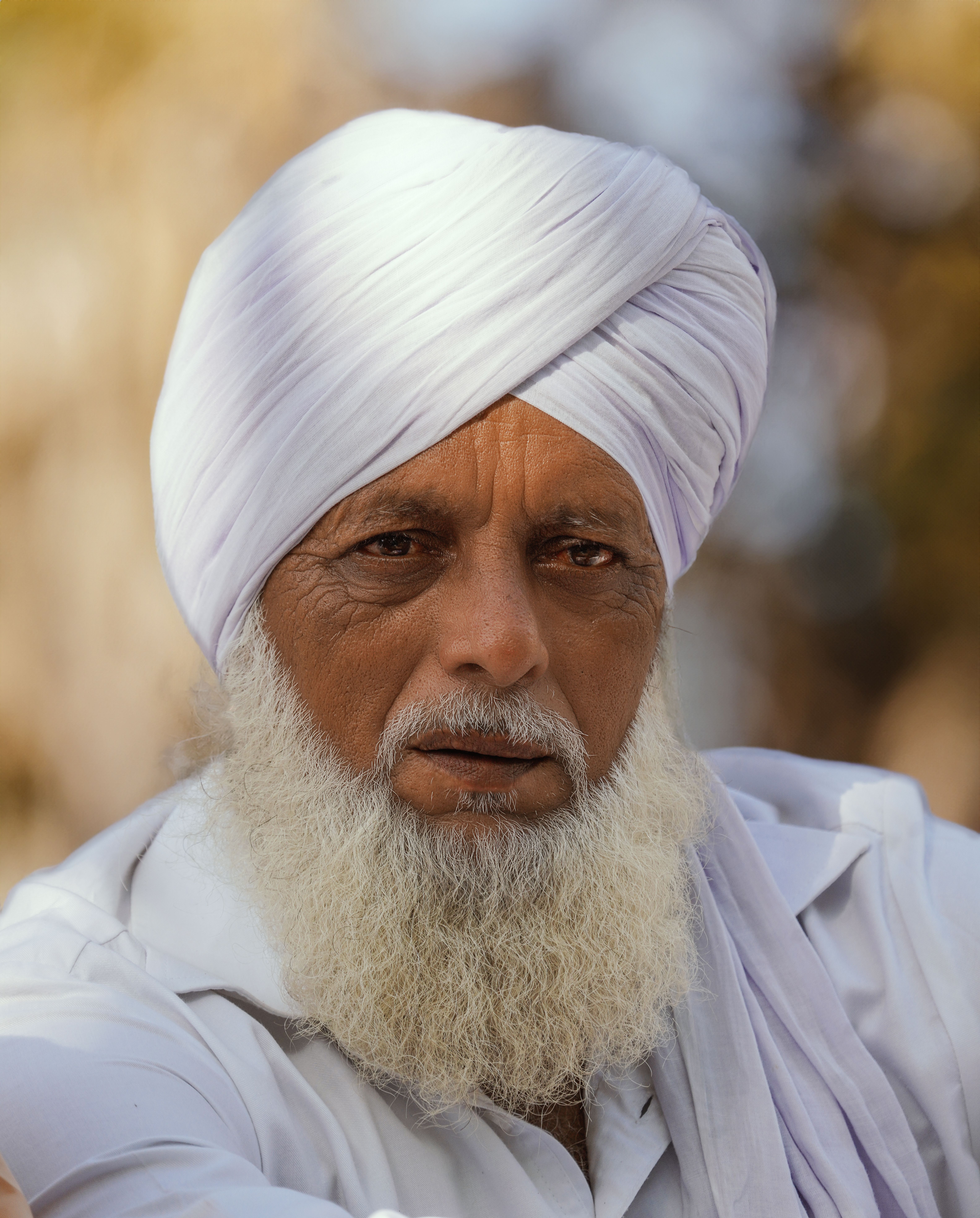 Elderly Sikh man wearing a white turban, outdoors in natural light.
