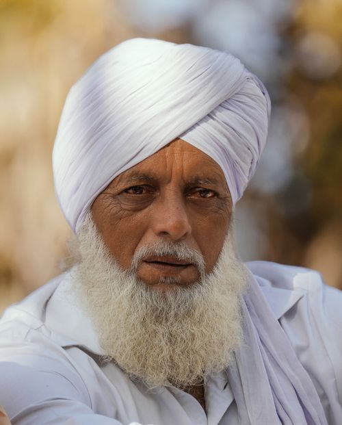 Free Elderly Sikh man wearing a white turban, outdoors in natural light. Stock Photo