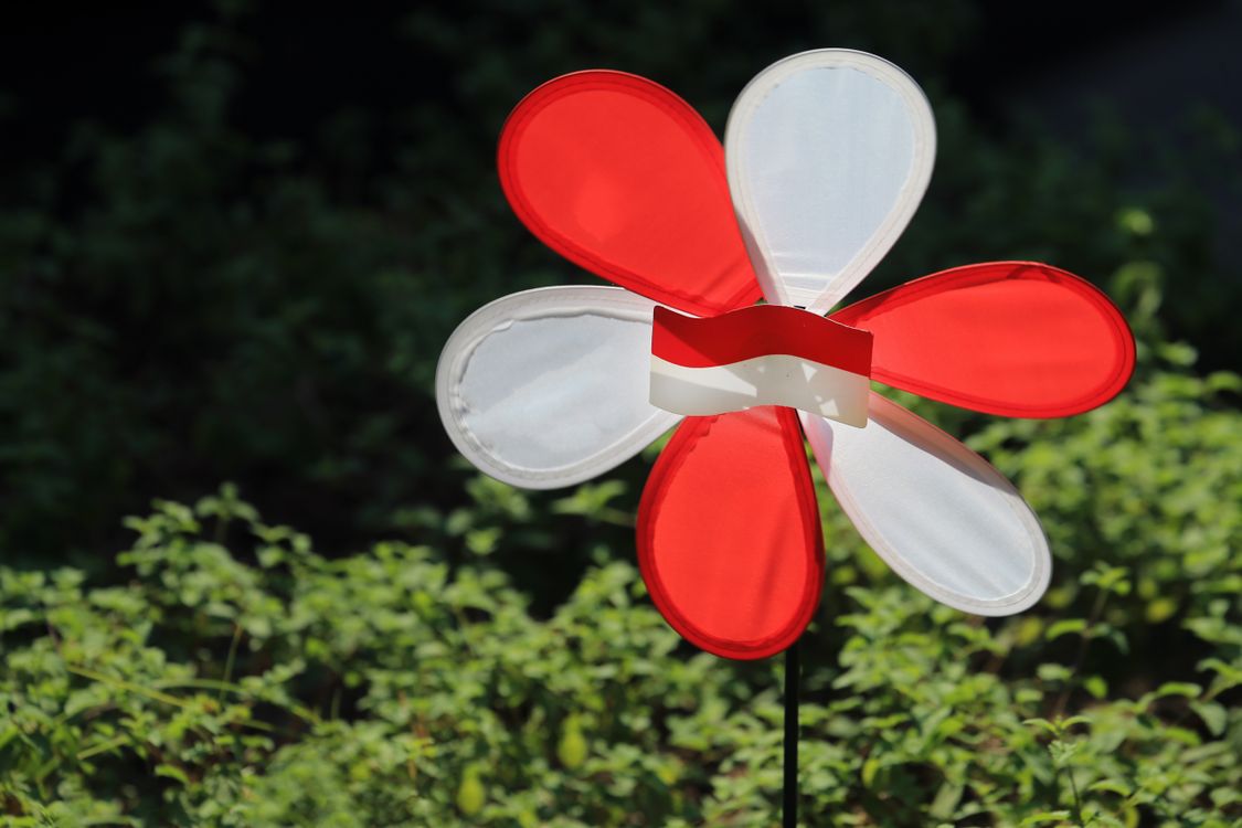 Red Color Pinwheel Pinwheel with Flag · Free Stock Photo