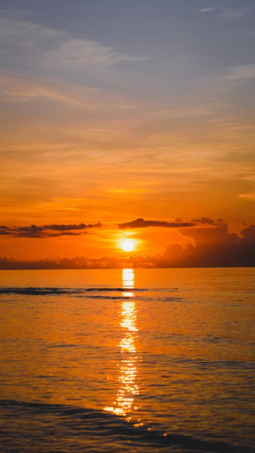Free Golden Horizons : Sunset Bliss Stock Photo